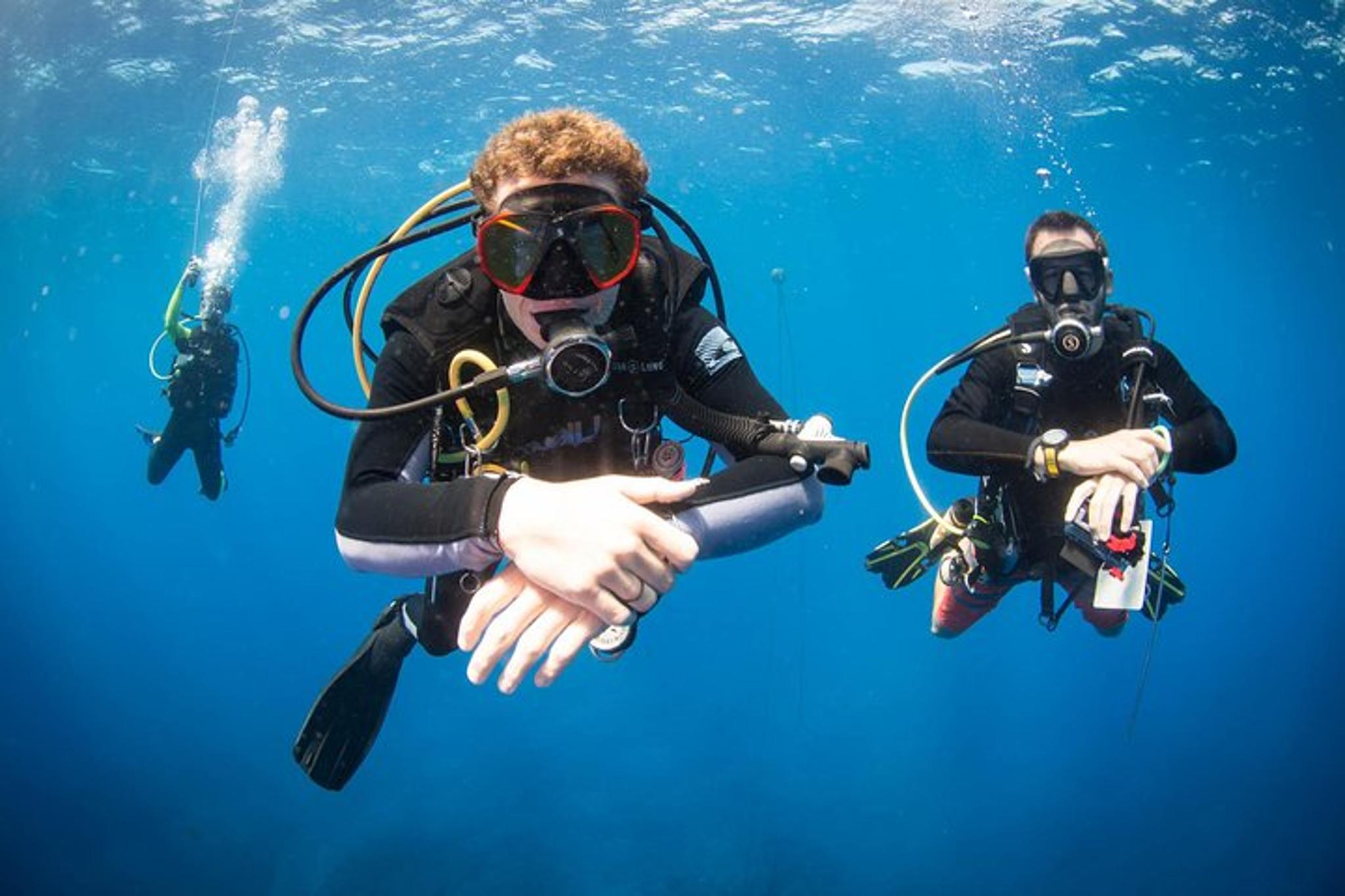 Kauai Scuba Dive Ocean Experience 2.5 Hr