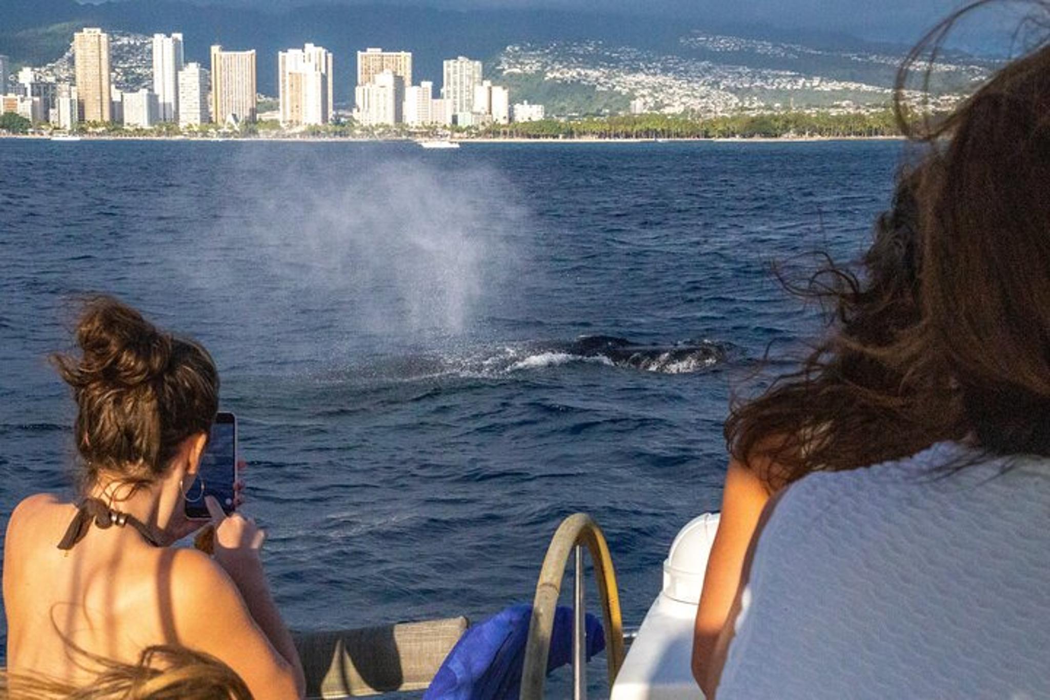 Waikiki Private Sailing Catamaran 2 hr - Image 3