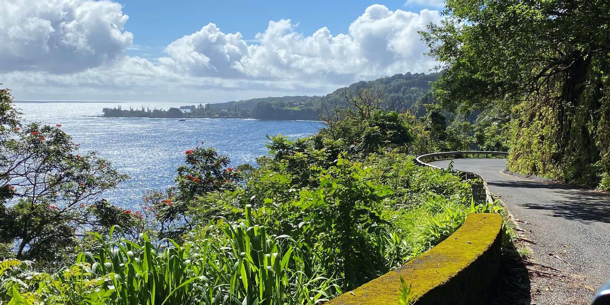Maui Road to Hana Private Adventure - Image 2