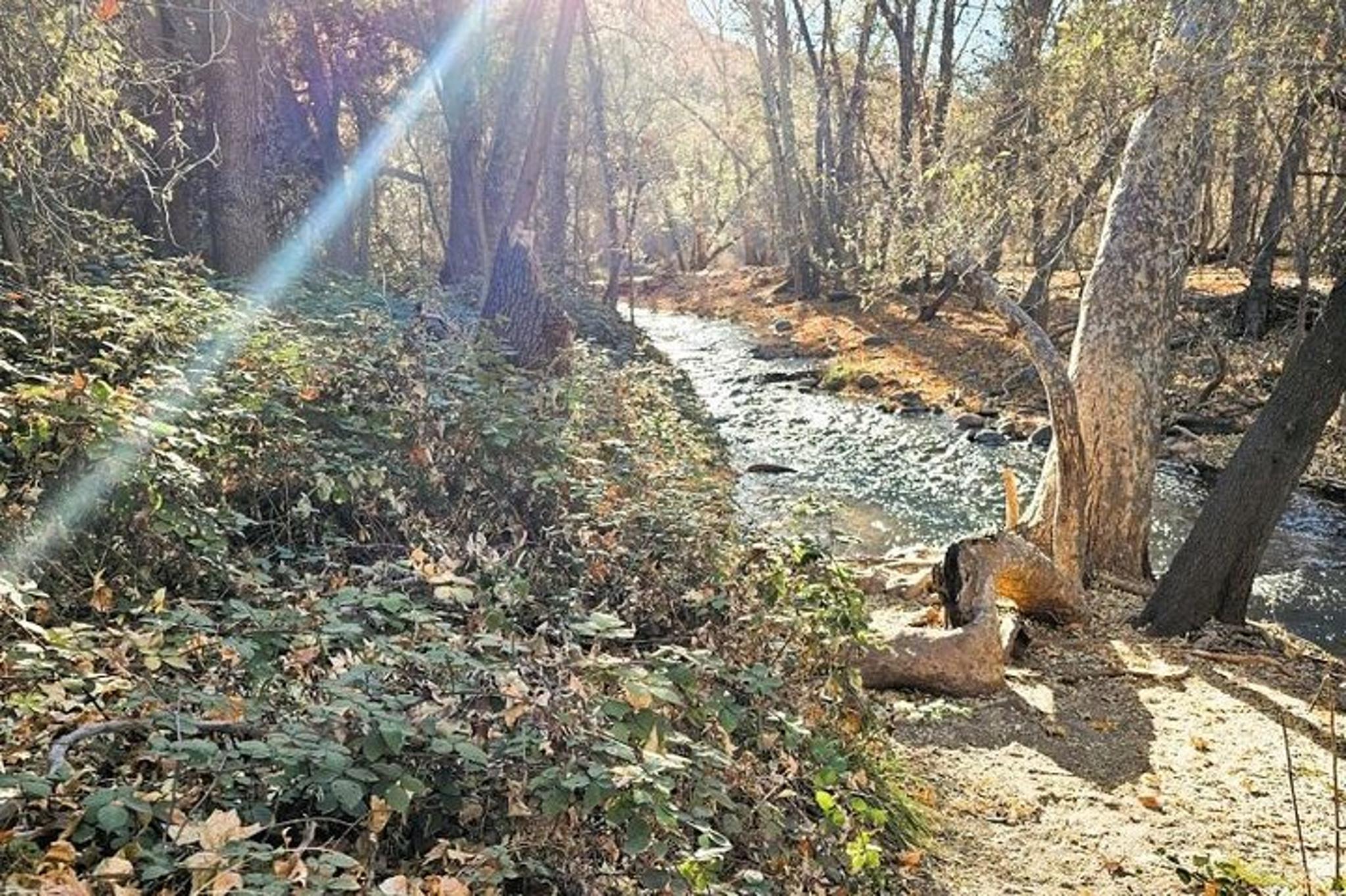 Sedona Sightseeing Tour - Image 4