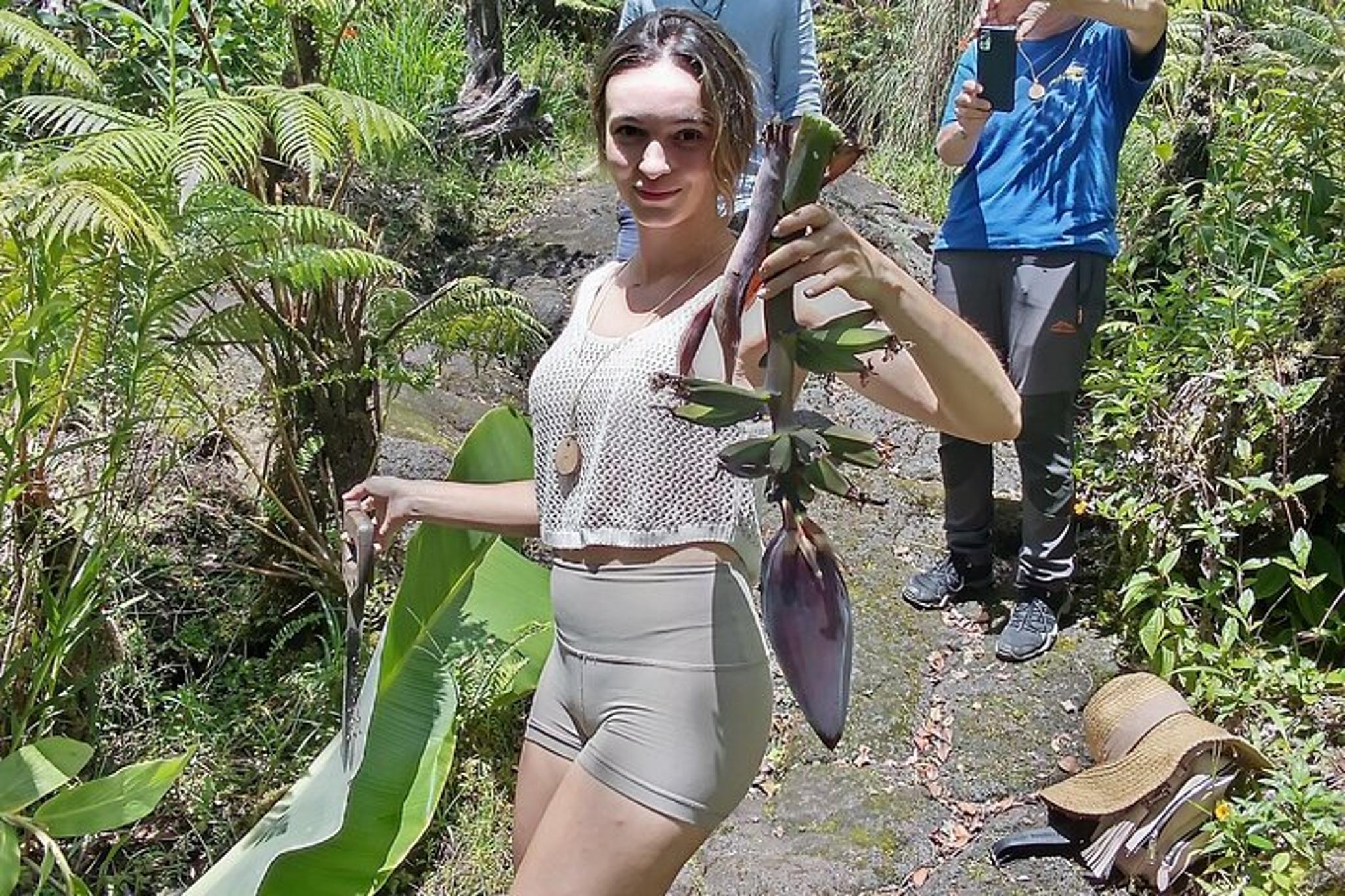 Fern Forest Banana Cultivation Experience - Image 3