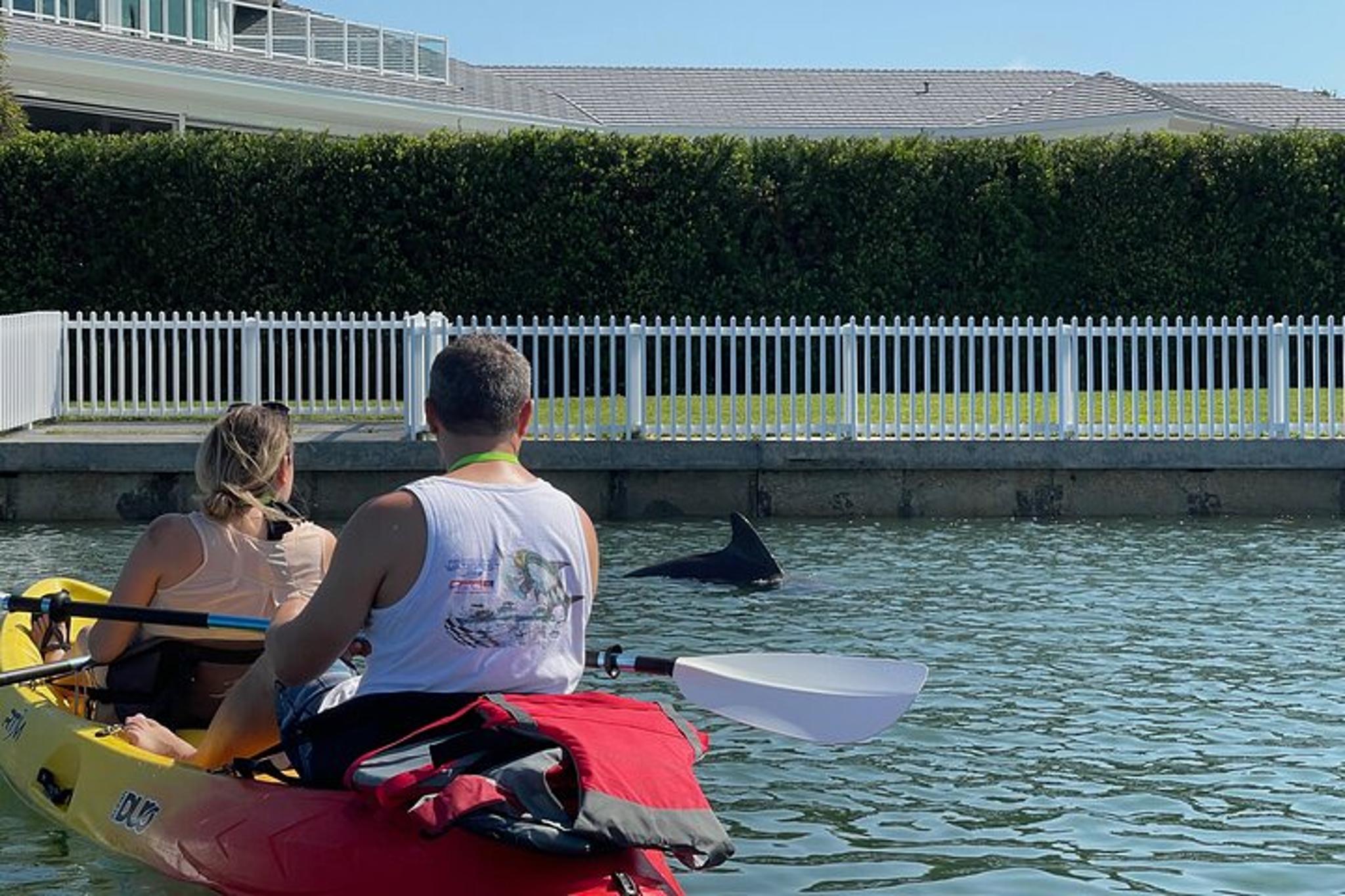 Don Pedro Island Kayak Eco Tour - Image 4