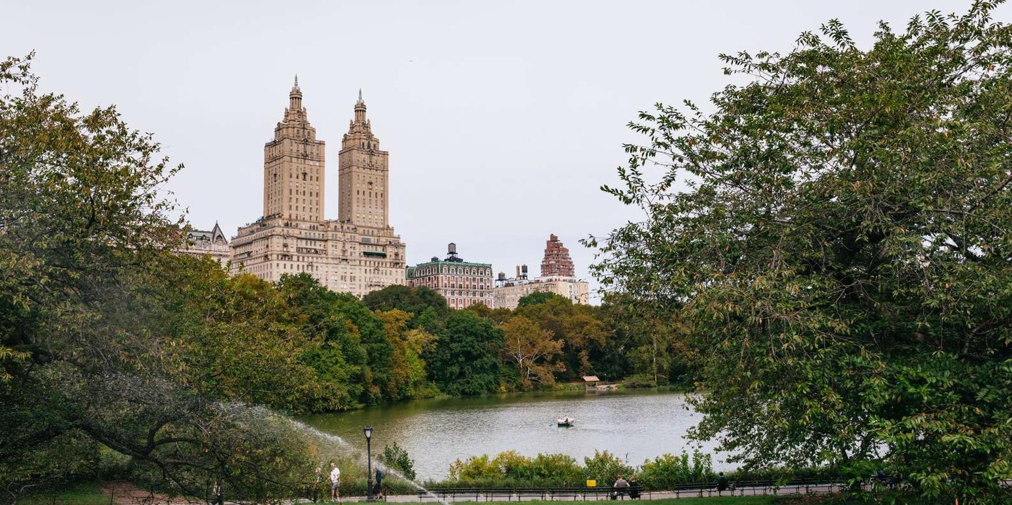 New York Central Park Pedicab Tour - Image 3