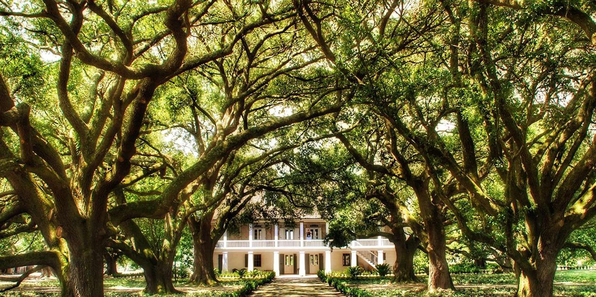 New Orleans Whitney Plantation Tour with Transportation - Image 2