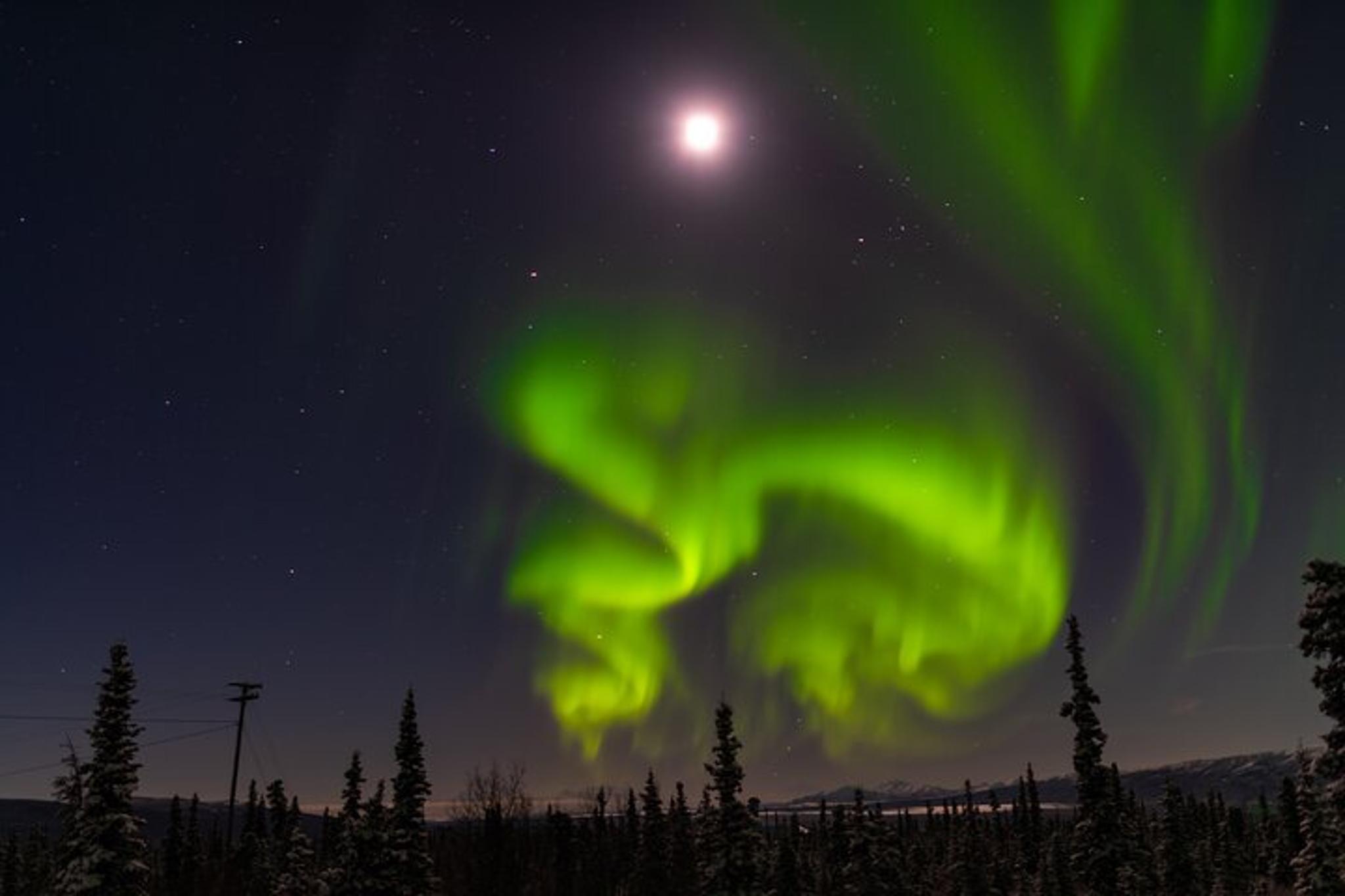 Anchorage Northern Lights Adventure - Image 2