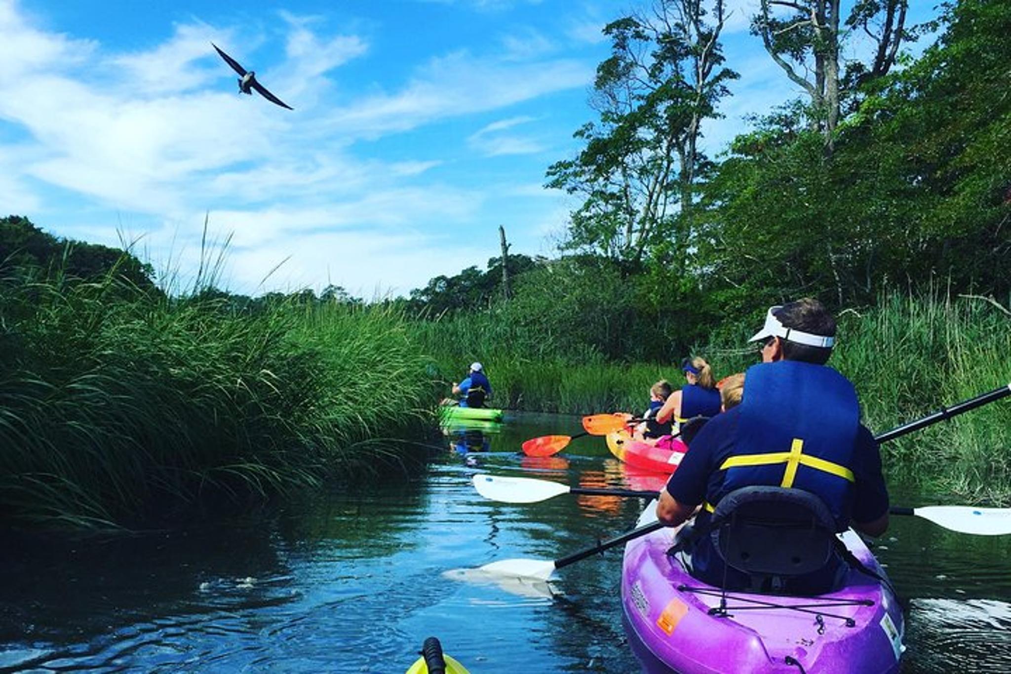 Cape Cod Kayak Nature Tour