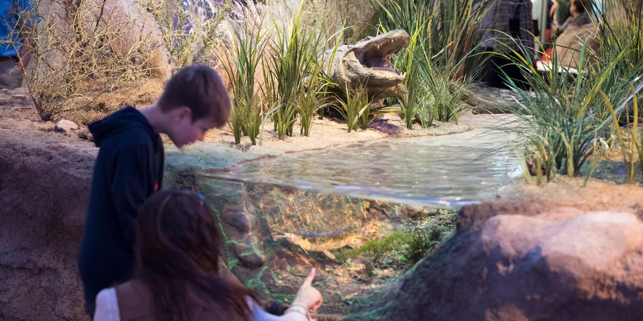 San Antonio Witte Museum Admission - Image 3