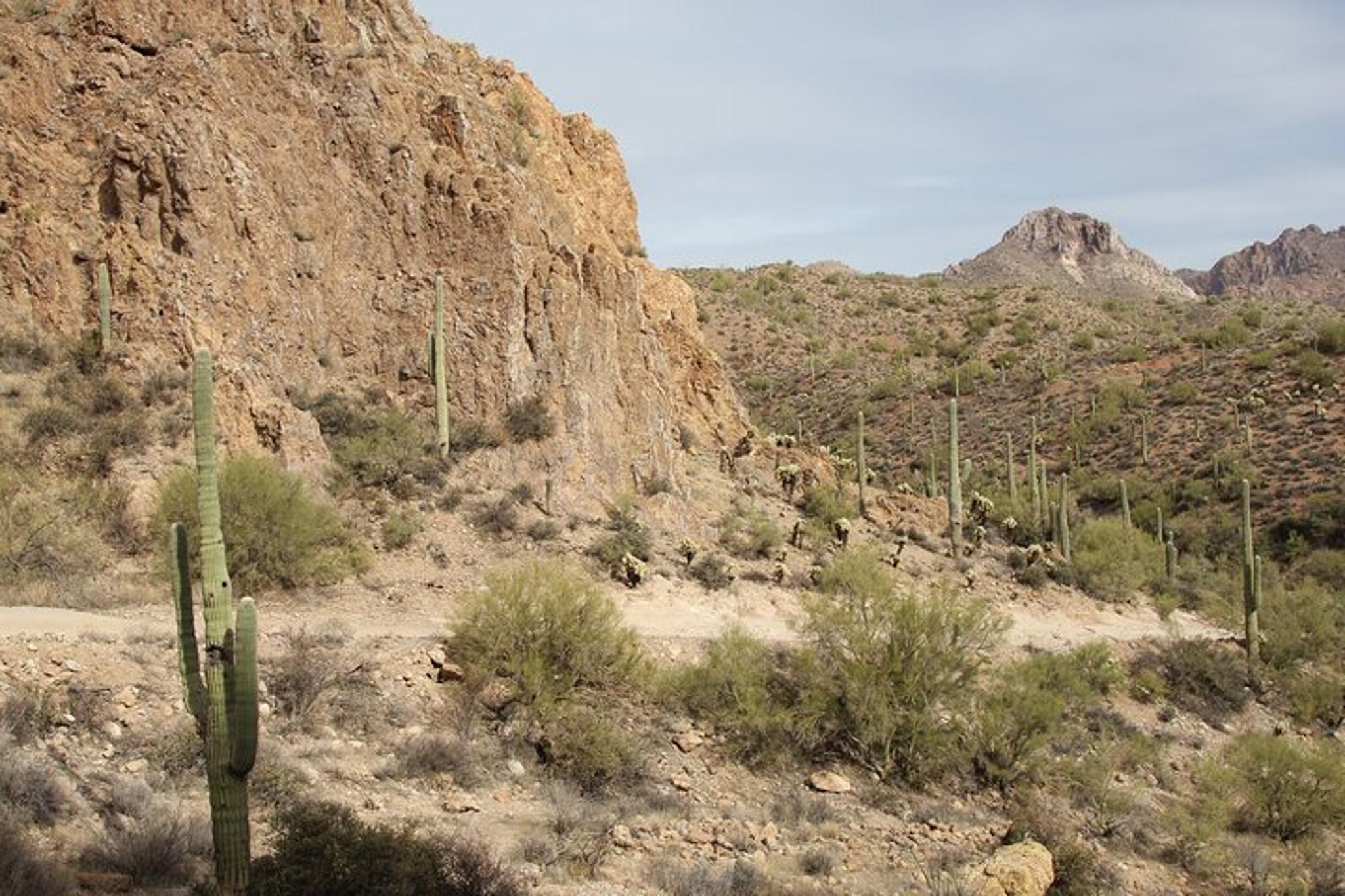Florence ATV Tour in Box Canyon - Image 3