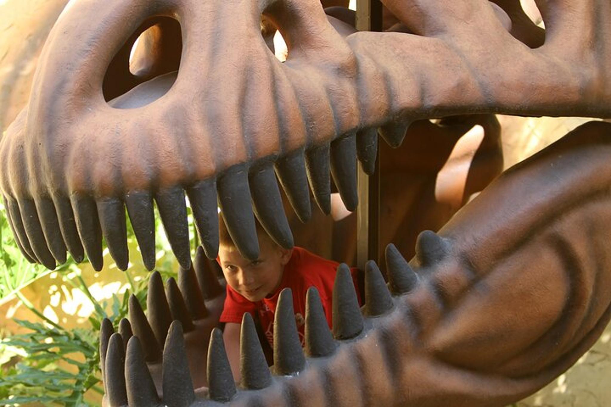 Glen Rose Dinosaur World - Image 4