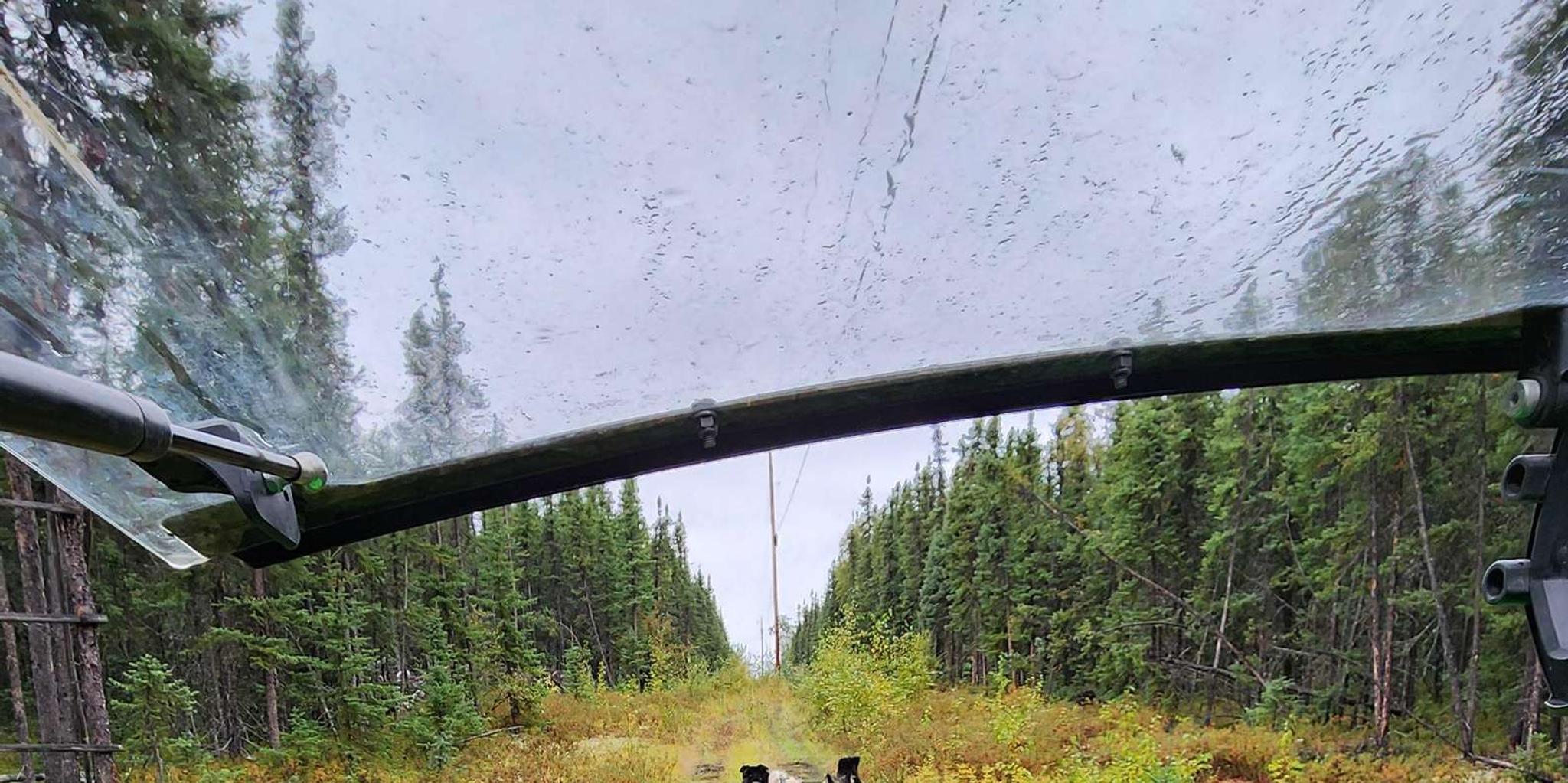 Fairbanks Alaskan Sled Dog Adventure 1.5 hr - Image 6