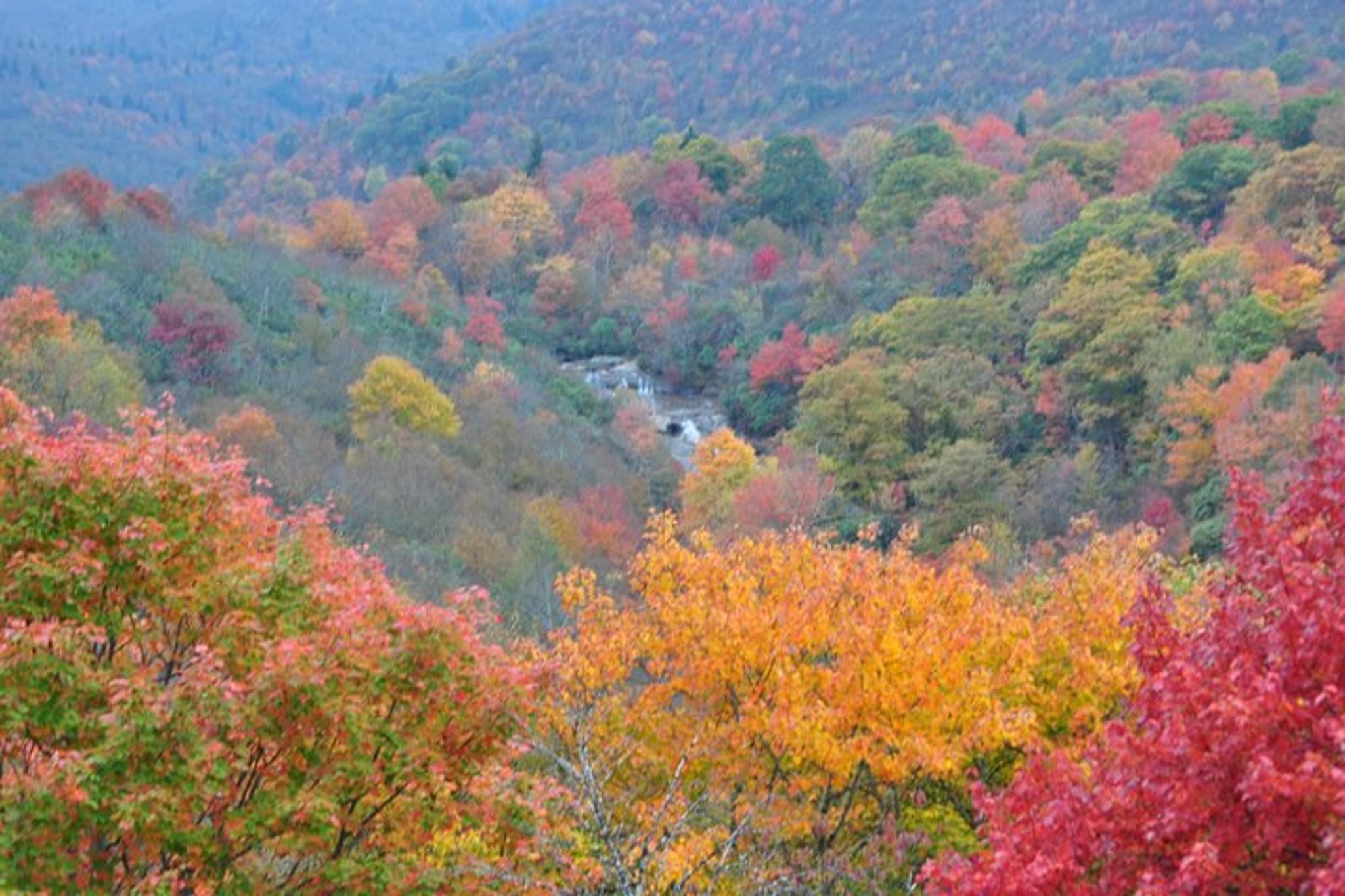 Asheville Waterfalls and Highlands Tour - Image 5