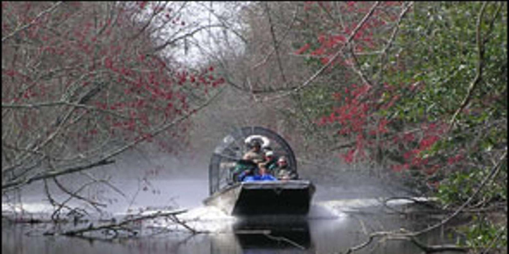New Orleans Bayou Airboat Tour