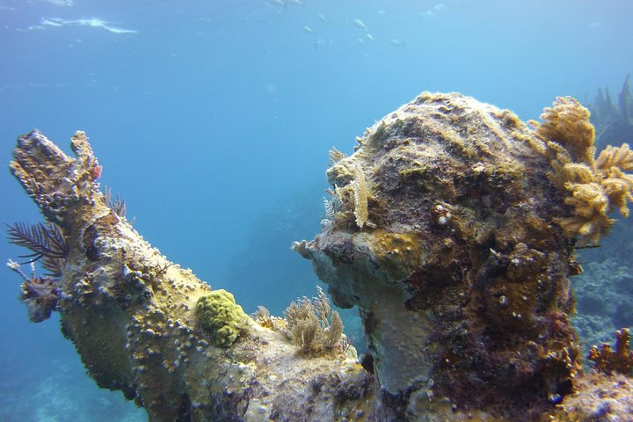 Key Largo Snorkeling Tour to Reef - Image 3