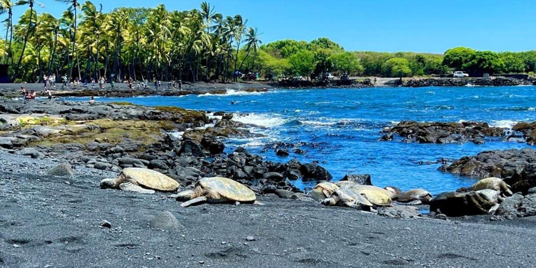 Kona Kilauea Summit to Shore Tour - Image 3