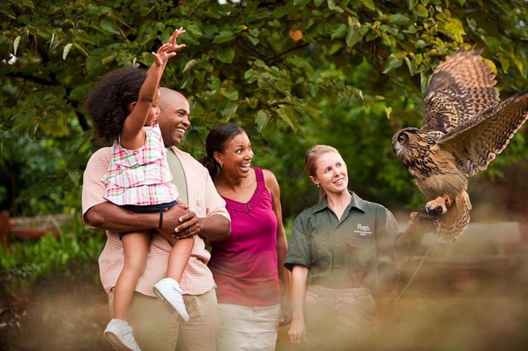 Williamsburg Busch Gardens Admission Ticket - Image 6