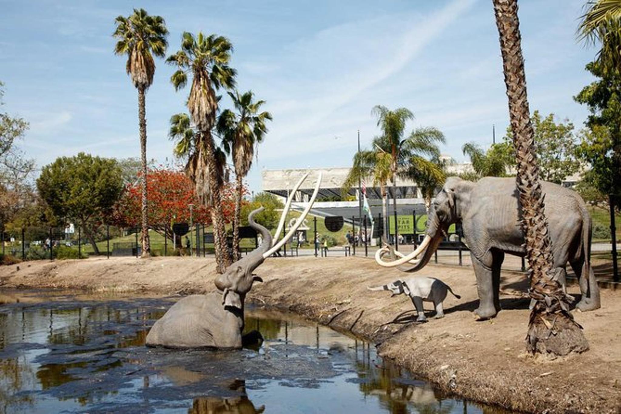 Los Angeles La Brea Tar Pits Excavator Tour 2 hr - Image 2