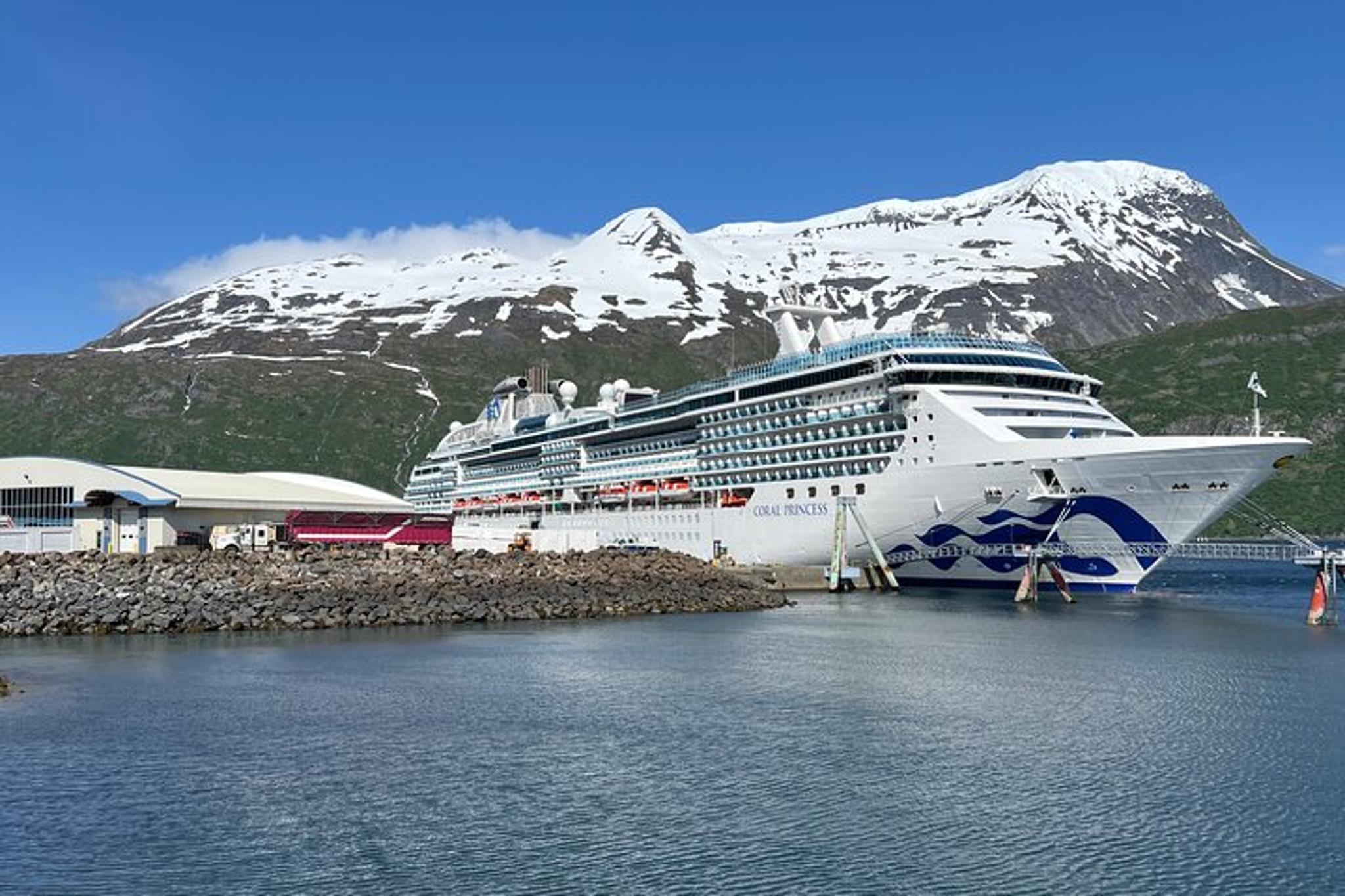 Seward to Anchorage Cruise Ship Transfer - Image 3