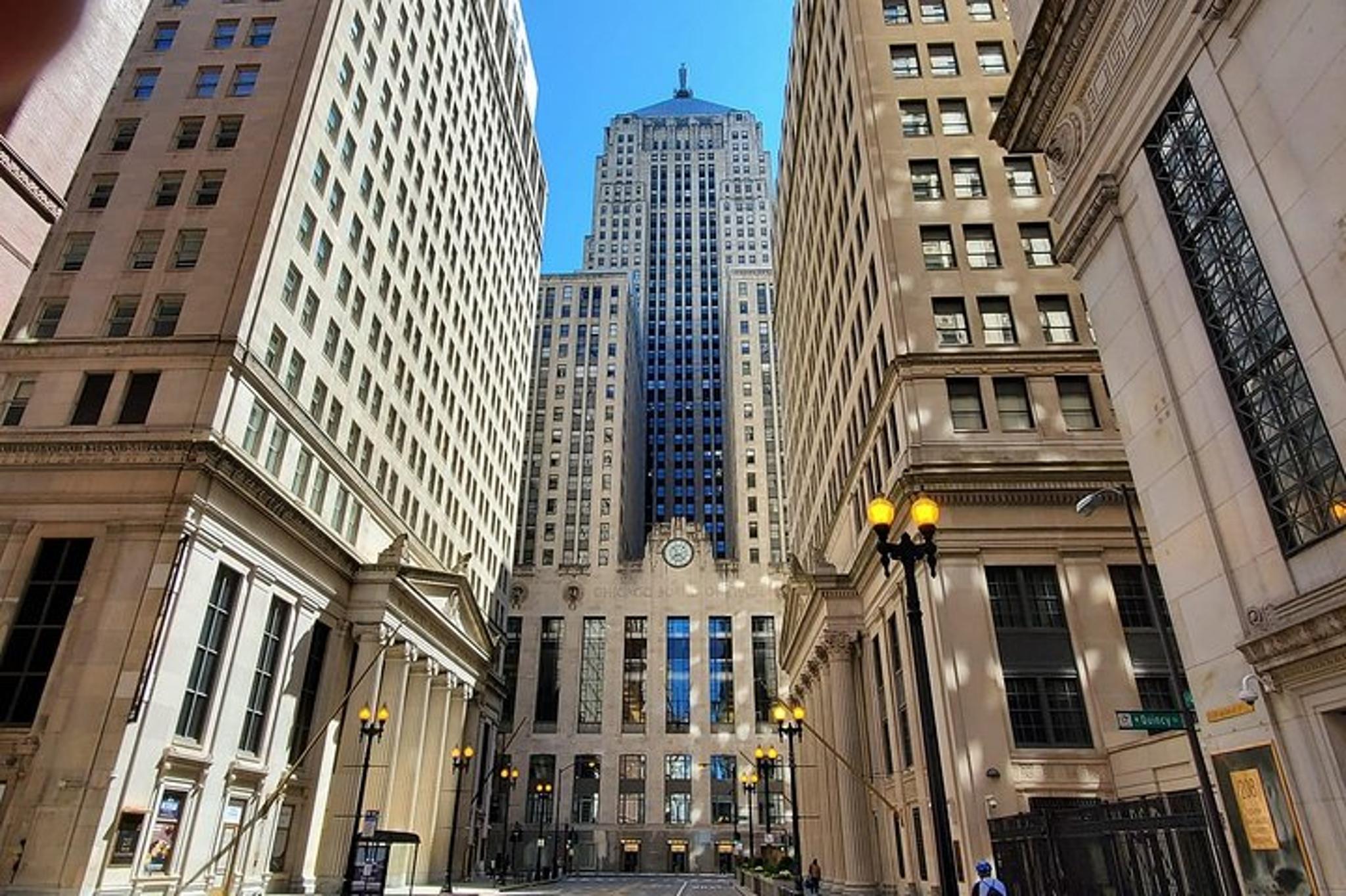 Chicago City Minibus Tour - Image 6