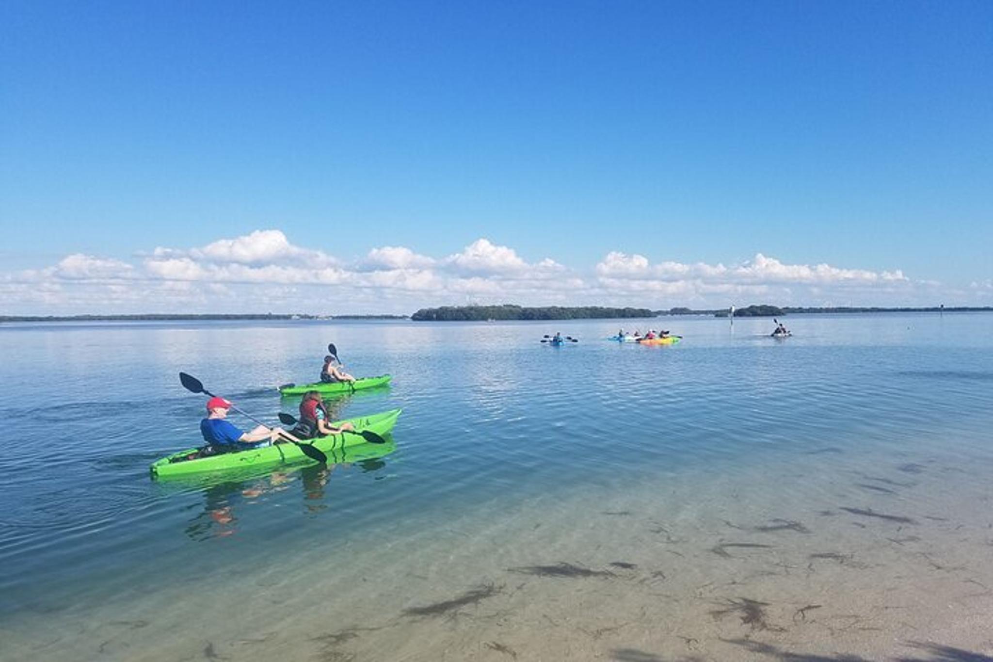 Tampa Bay Kayak Tour of Shell Key Preserve