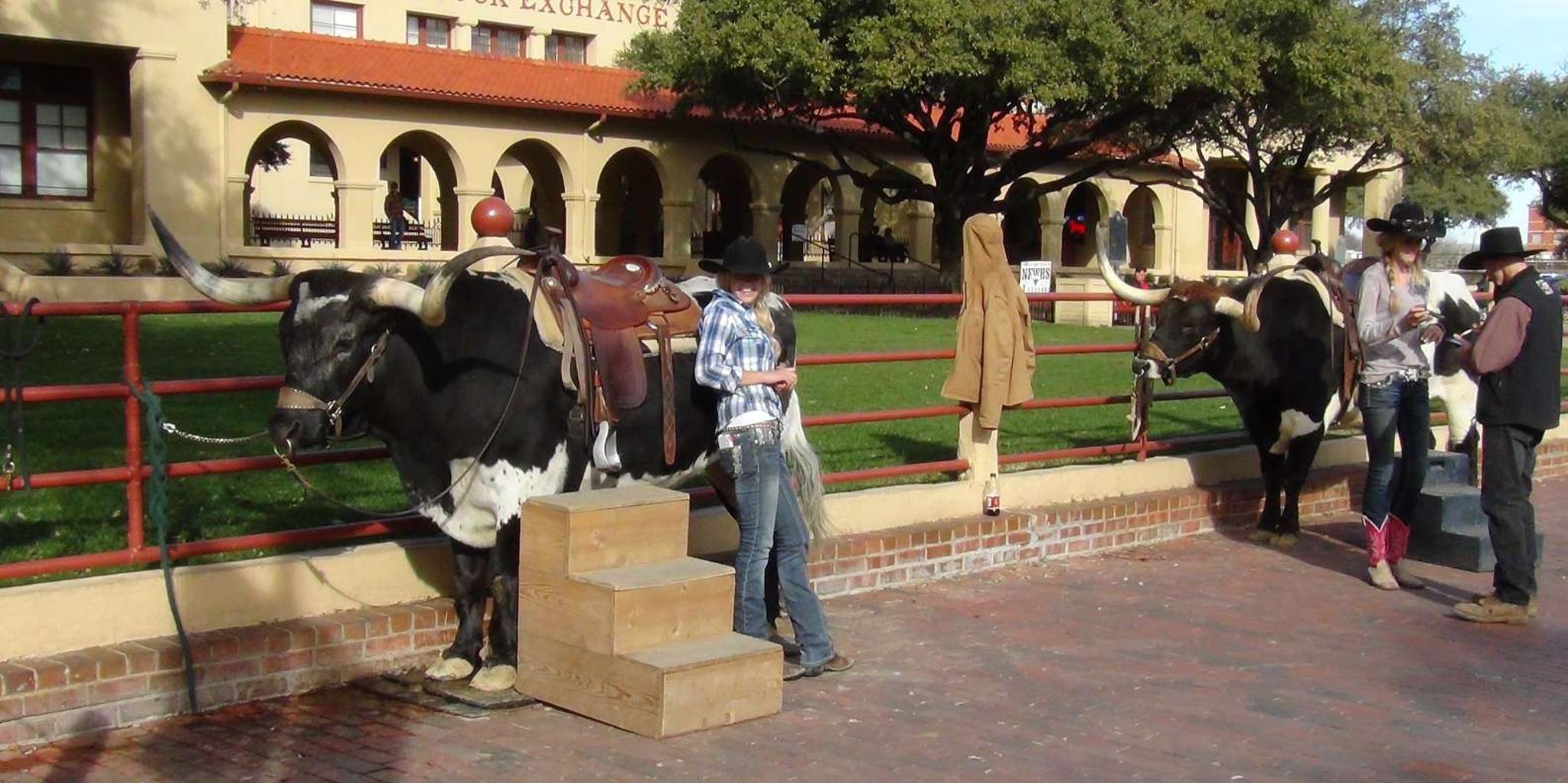 Dallas Fort Worth Guided Day Tour - Image 3