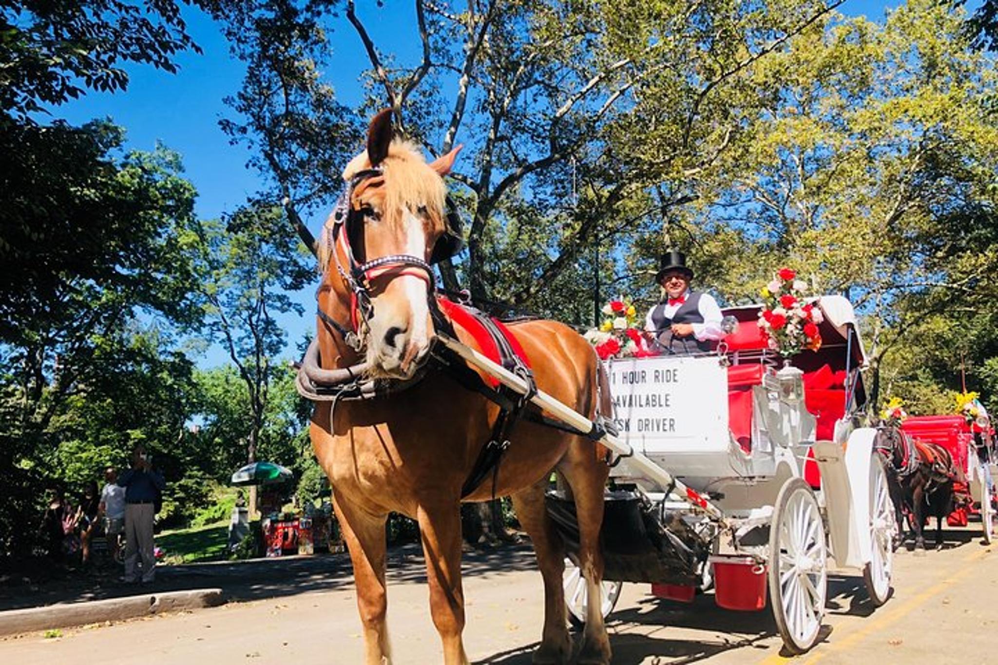 New York City Carriage Ride 55 Min - Image 3
