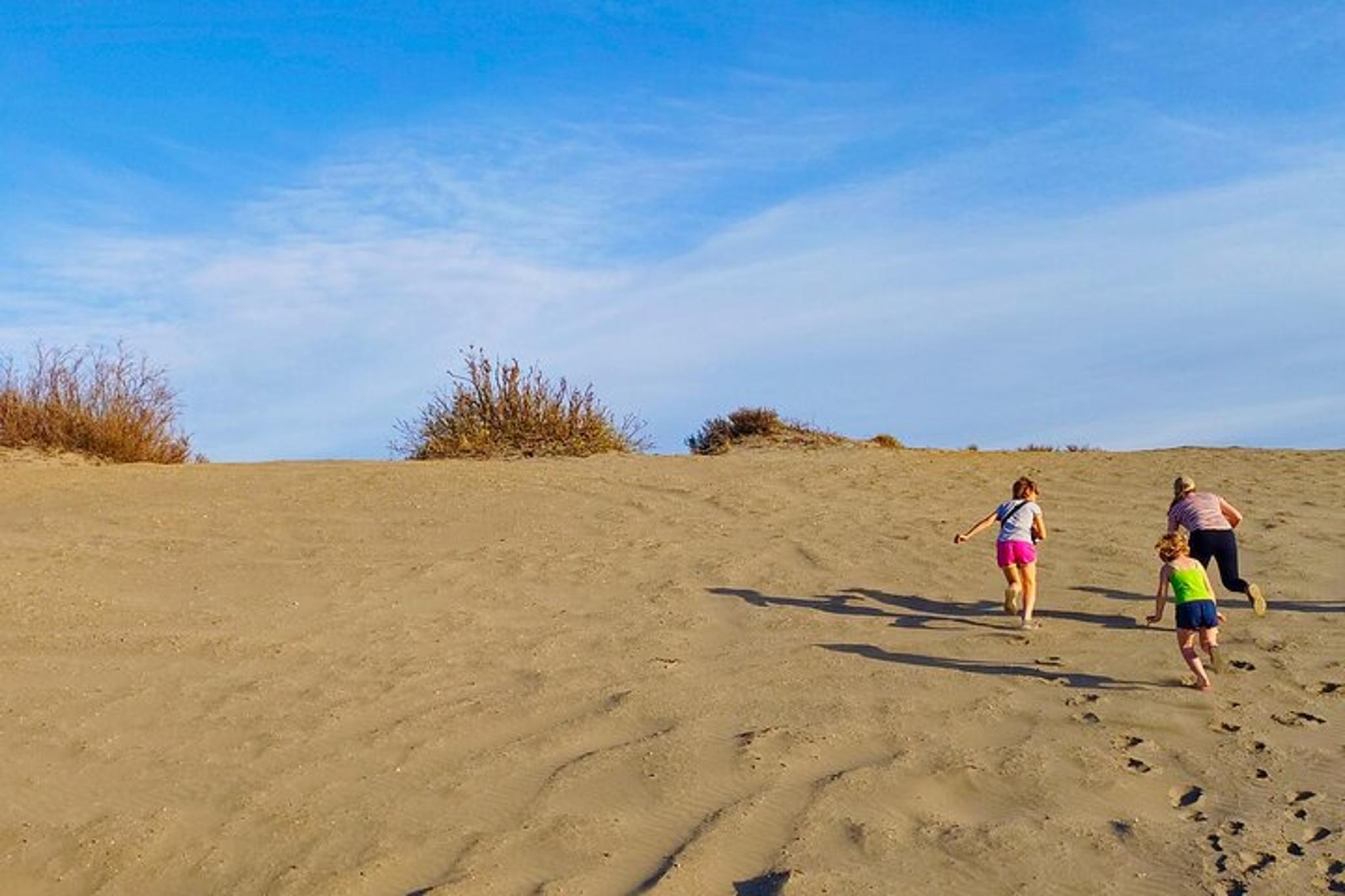 Denali Park Tour from Fairbanks - Image 6