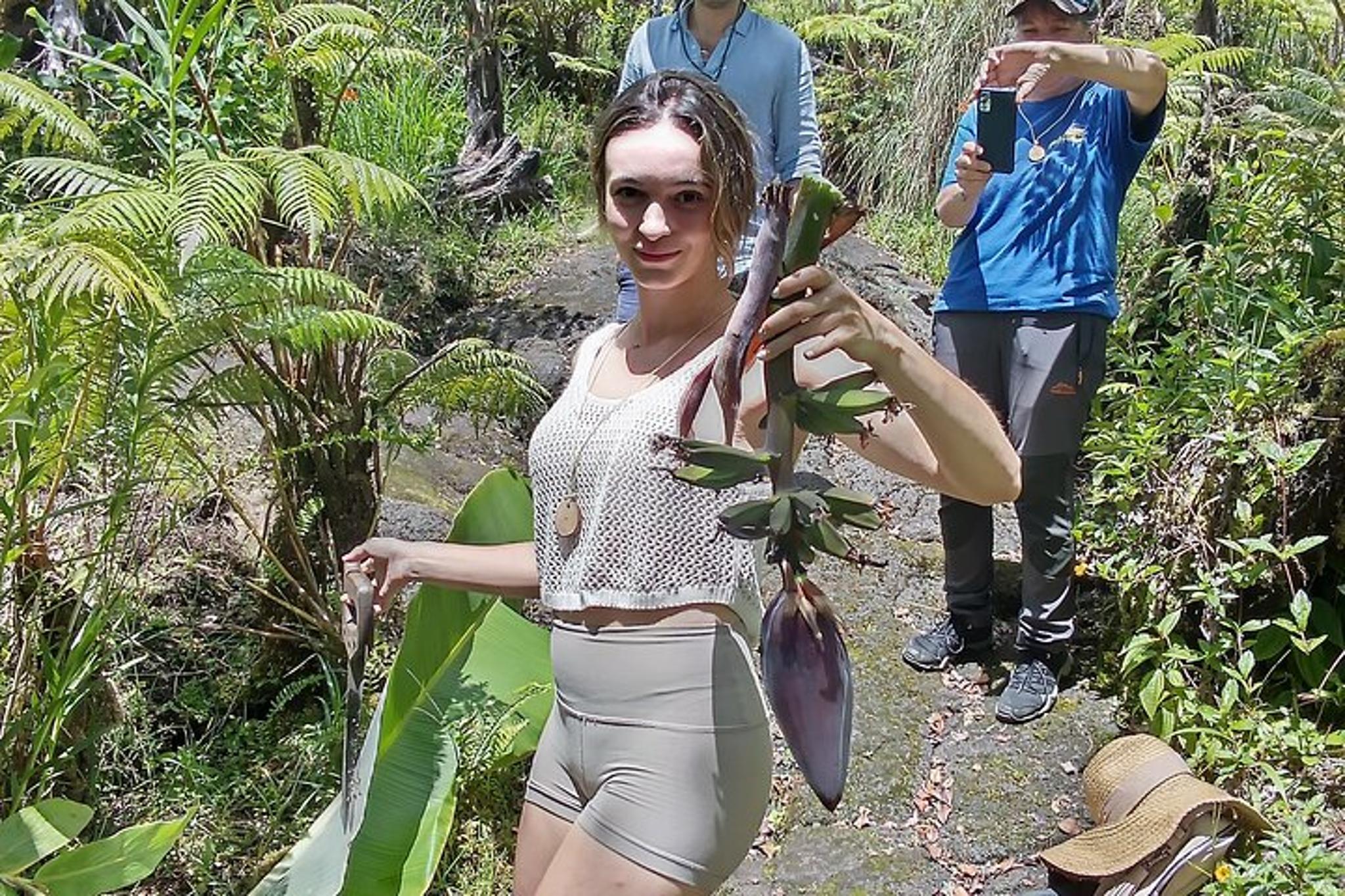 Fern Forest Jungle Tour with Guava Green Tea