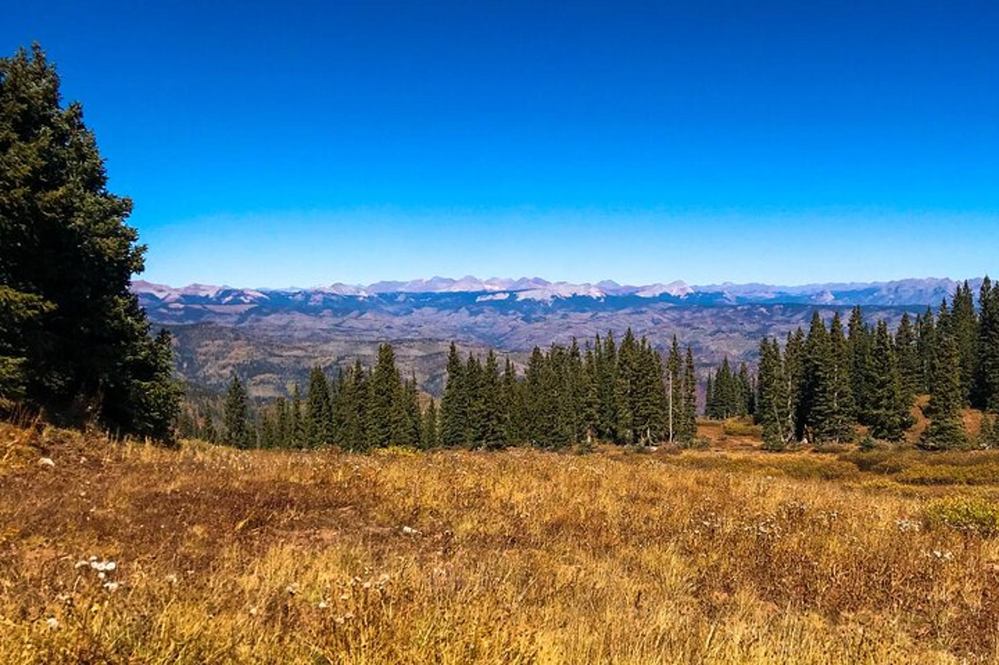 Durango Jeep Tour in La Plata Canyon 4 hr - Image 6