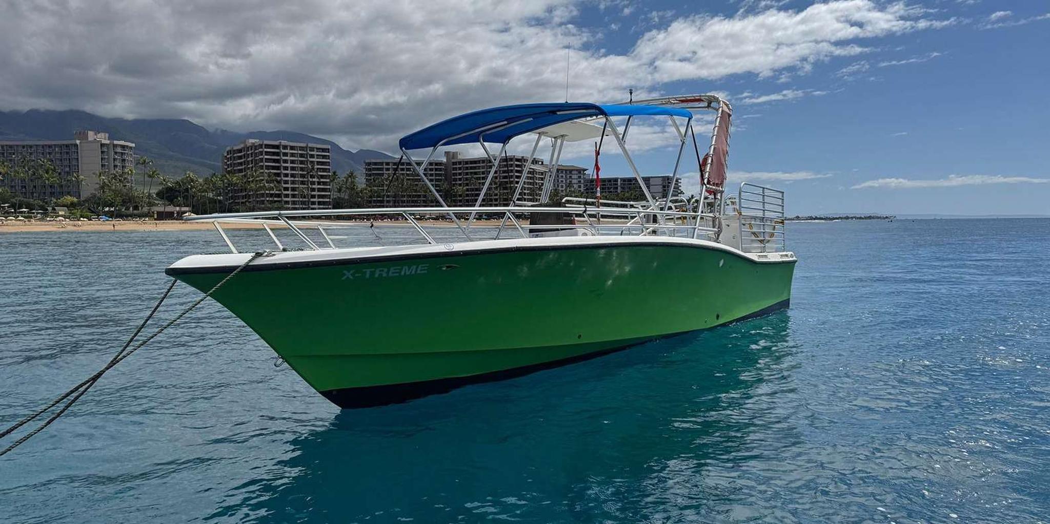 Kaanapali Beach Lanai Snorkeling Tour - Image 3