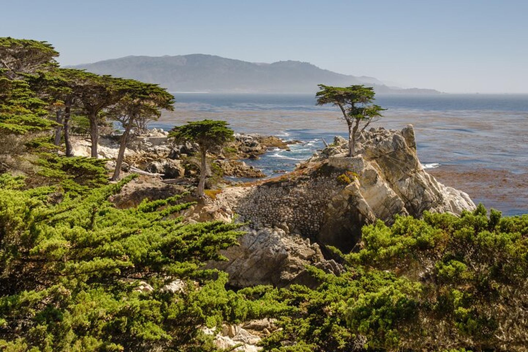 Point Lobos Self-Guided App Tour - Image 4