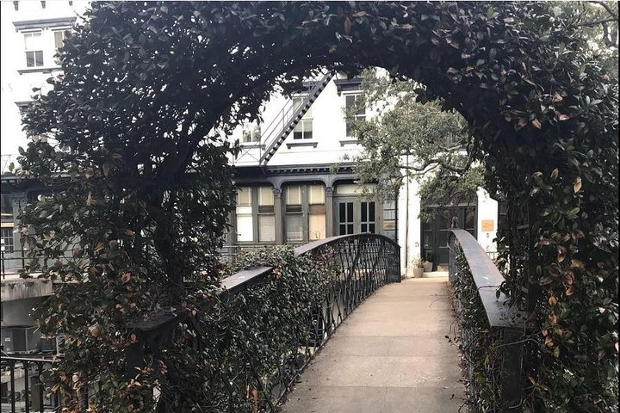 Savannah Walking Tour of Midnight in the Garden - Image 3