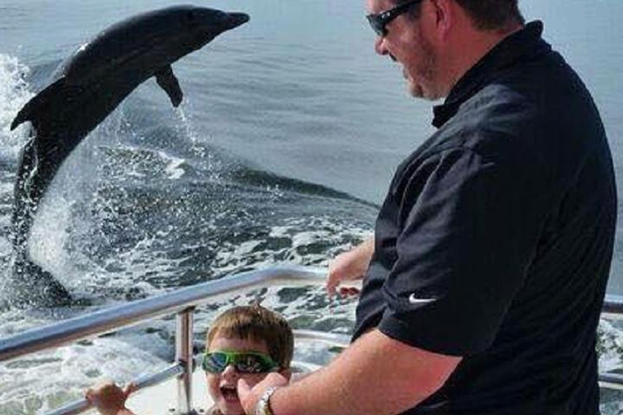 Alabama Gulf Coast Dolphin Cruise - Image 5