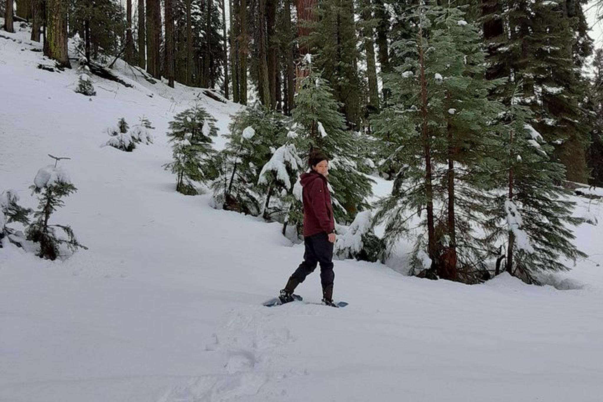 Sequoia National Park Snowshoe Adventure - Image 4