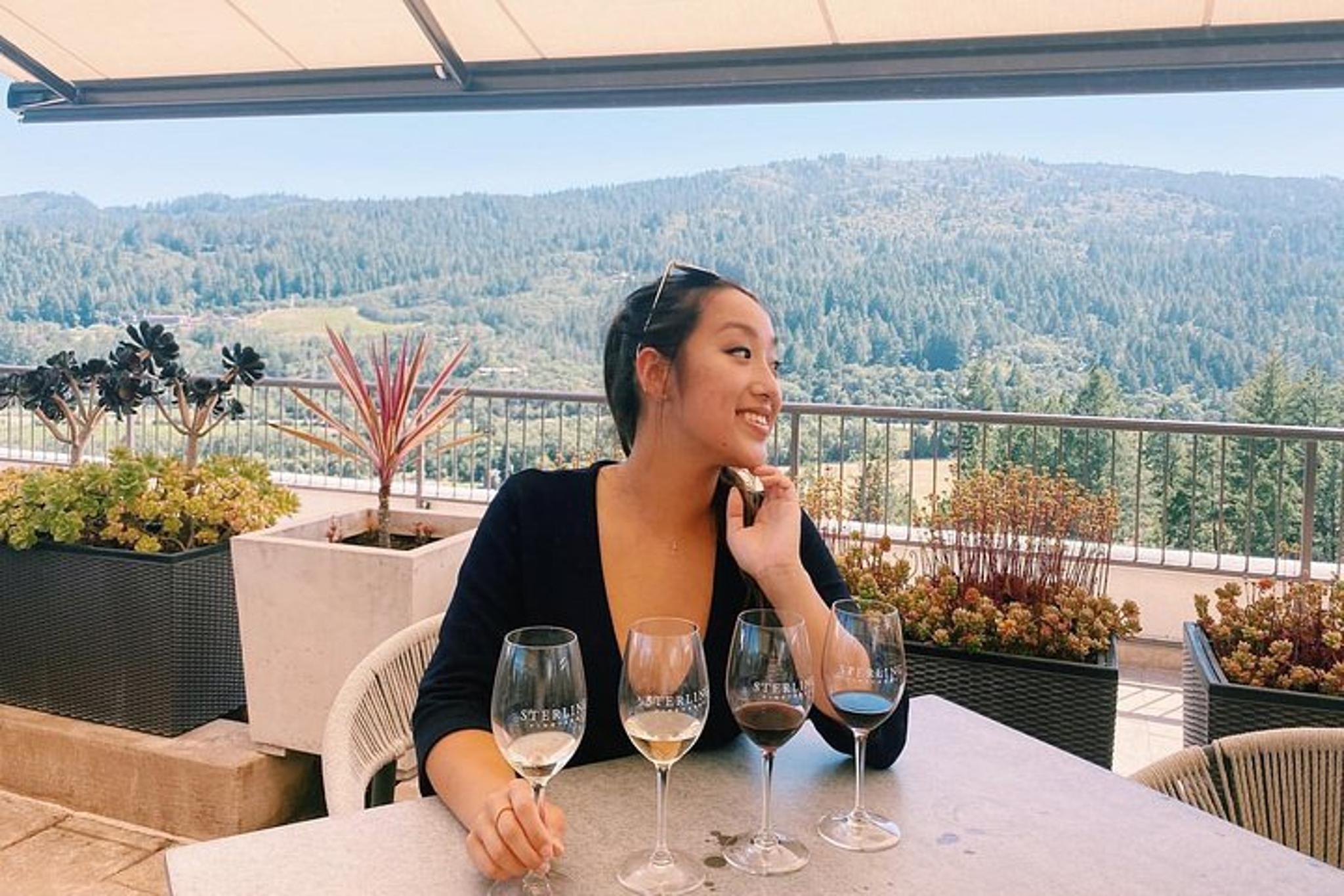 San Francisco Wine Country Tour - Image 1