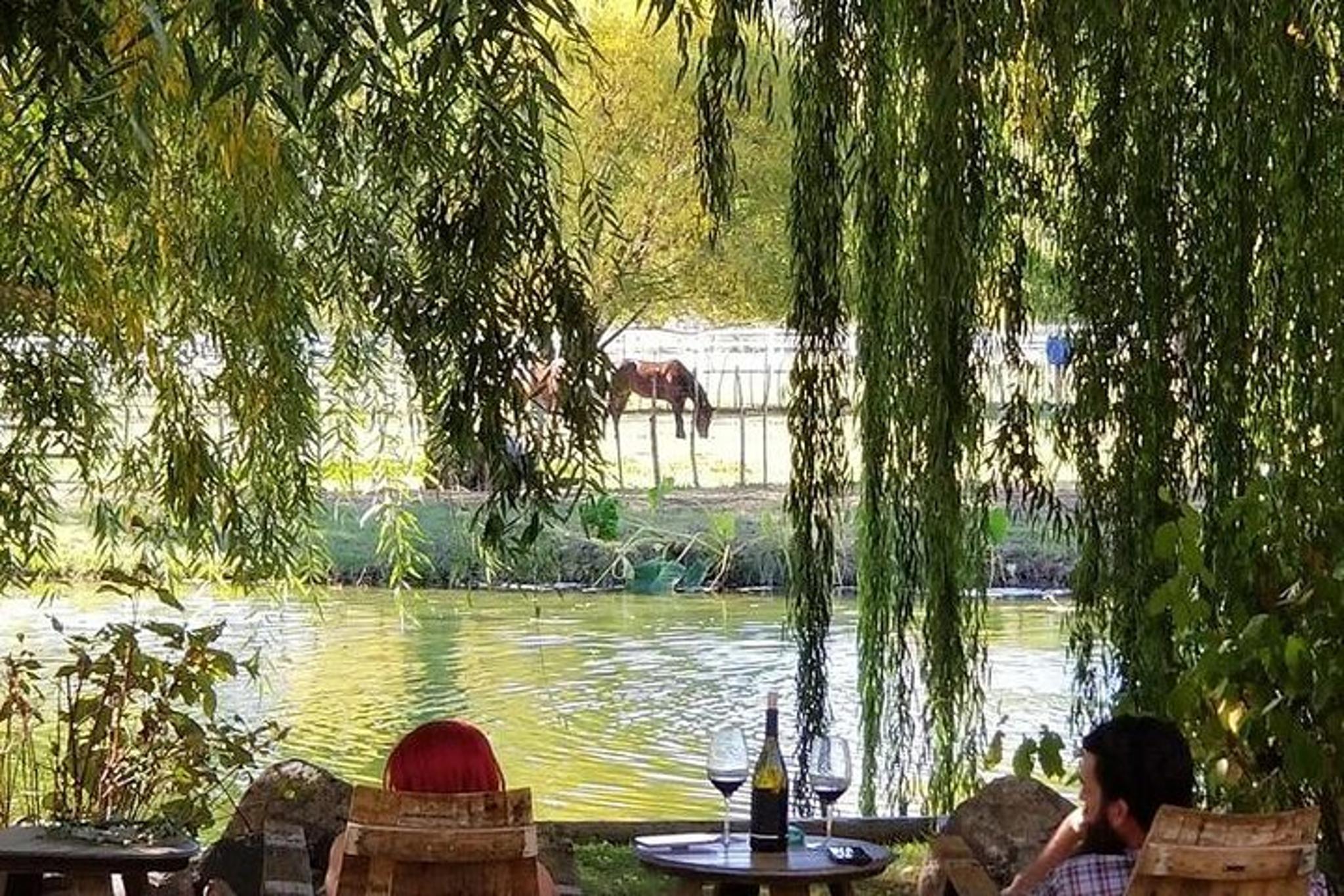 Cottonwood Vineyard Wine Tasting Tour - Image 1