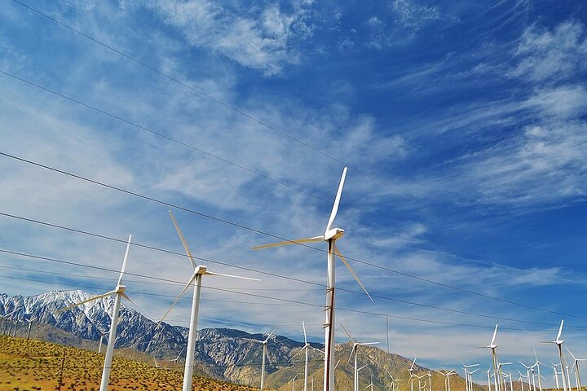 Los Angeles Palm Springs Private Tour 10 hr - Image 2