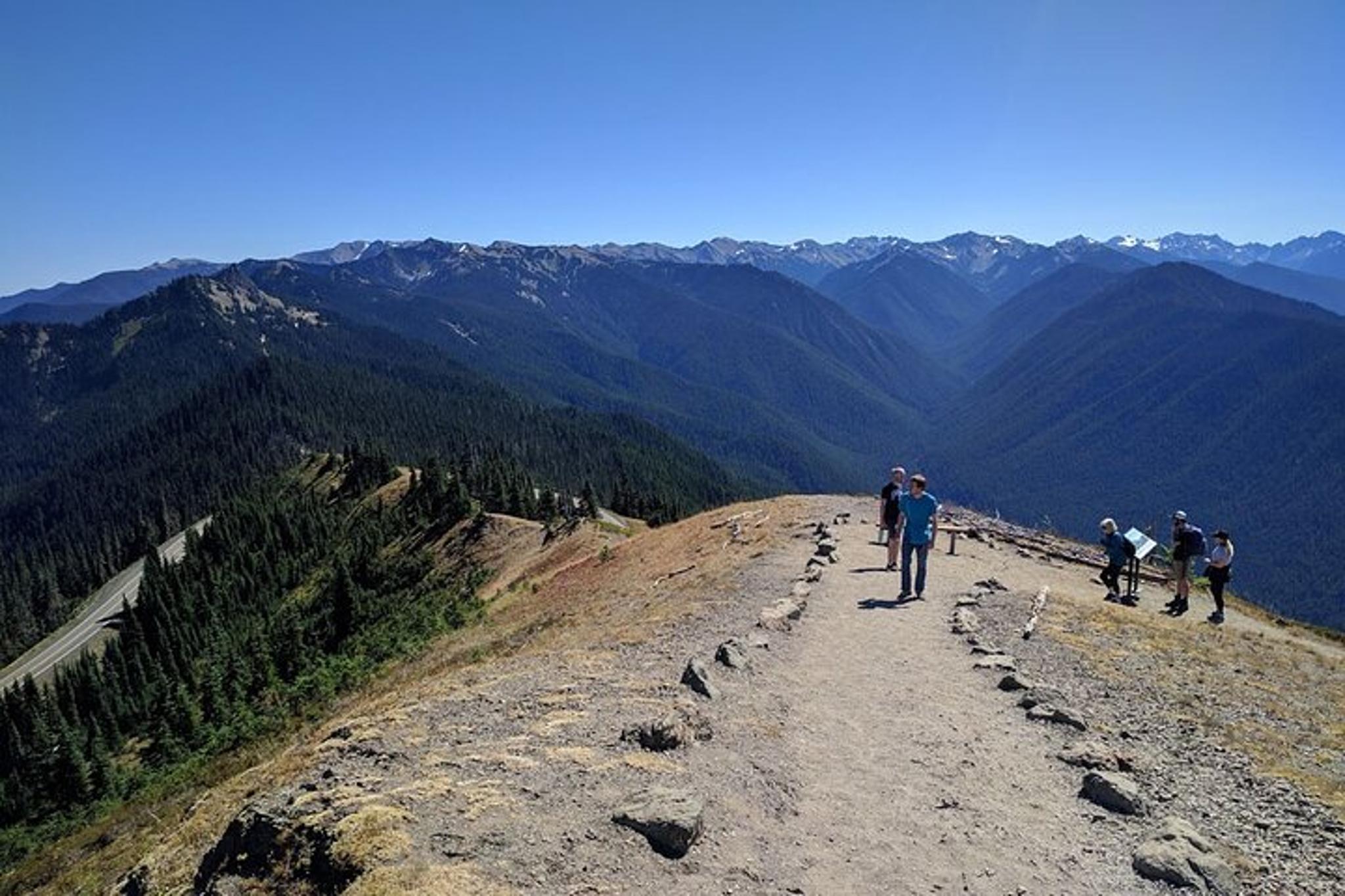 Olympic National Park Private Day Tour with Lunch - Image 6