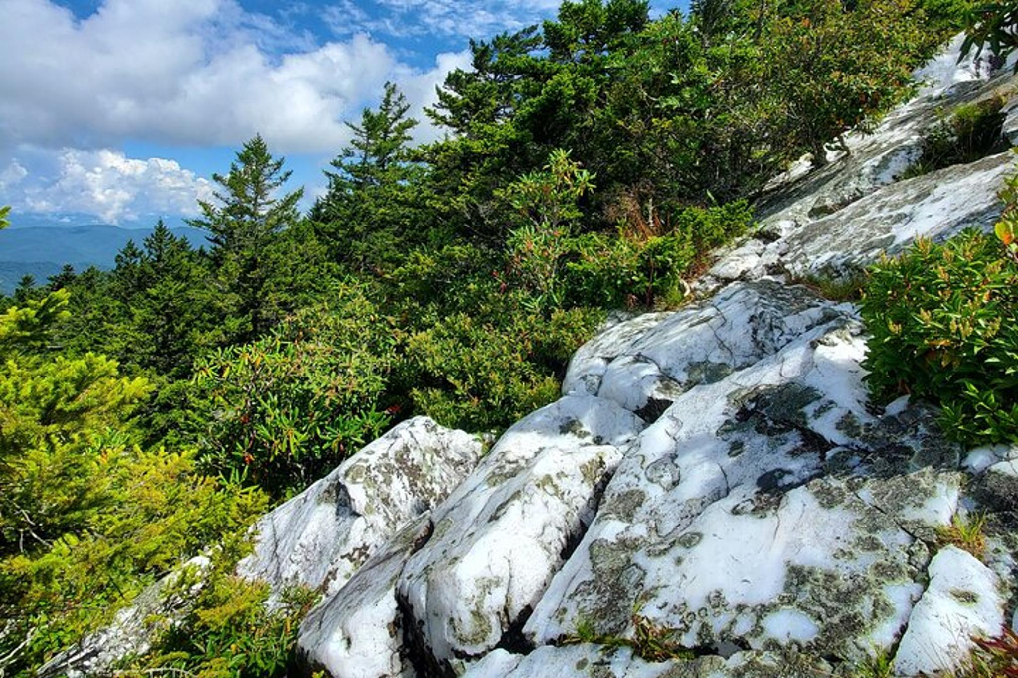 Shining Rock Guided Hike - Image 5