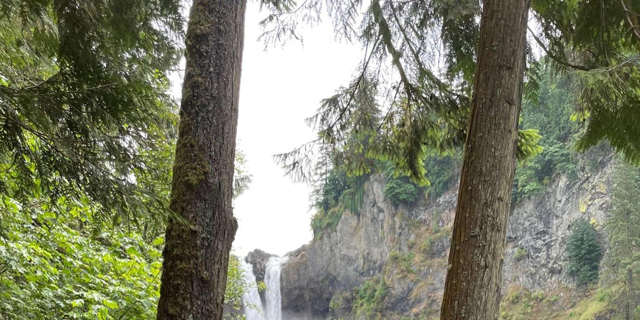 Seattle Snoqualmie Falls and Wineries Tour