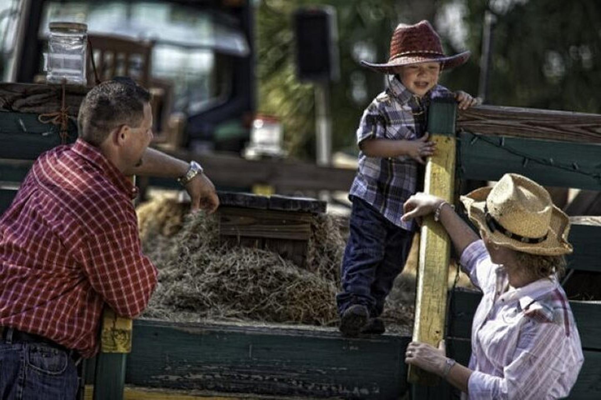 Central Florida Haunted Hayride - Image 2