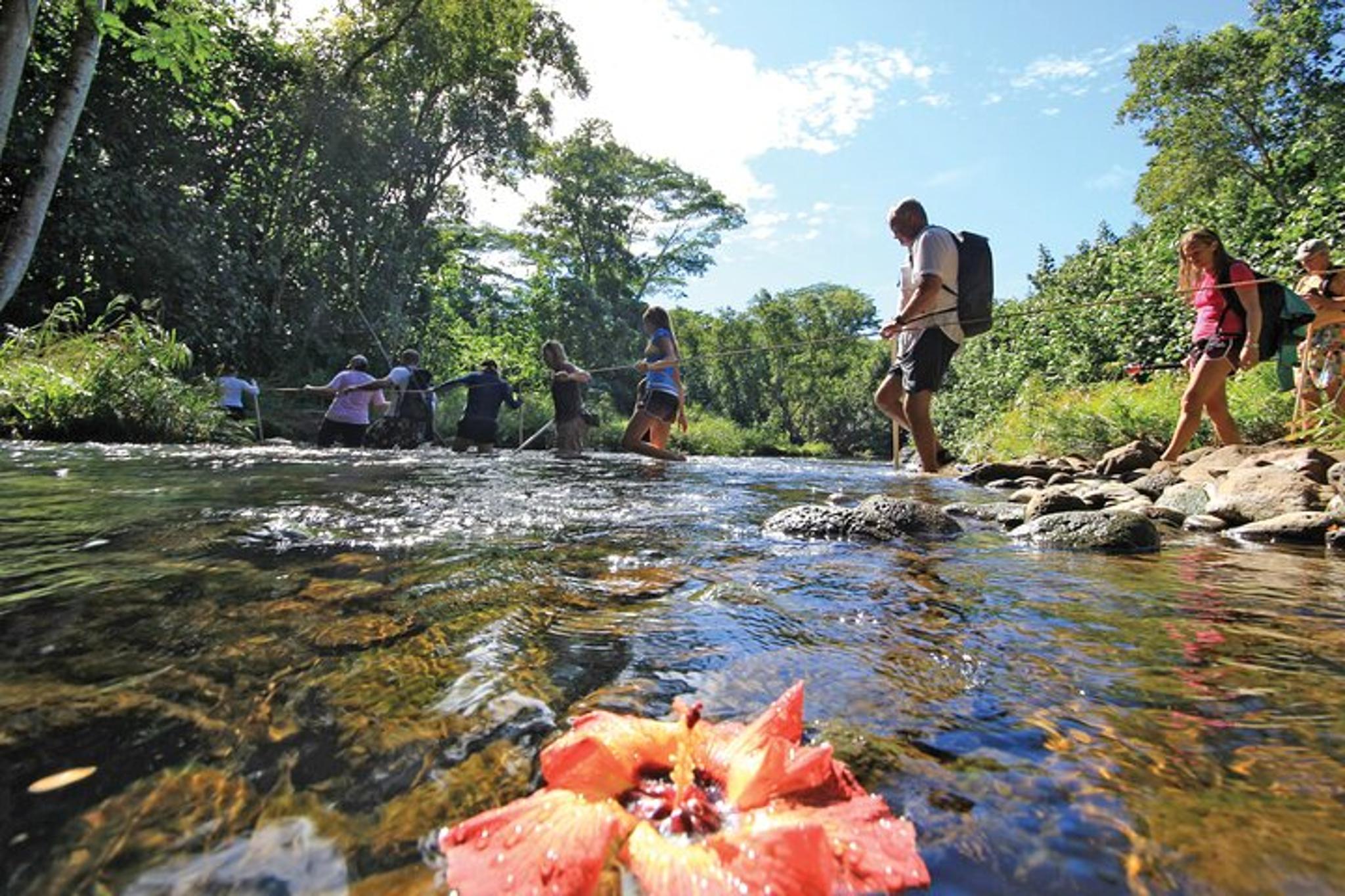 Kauai Secret Falls Kayak and Hike