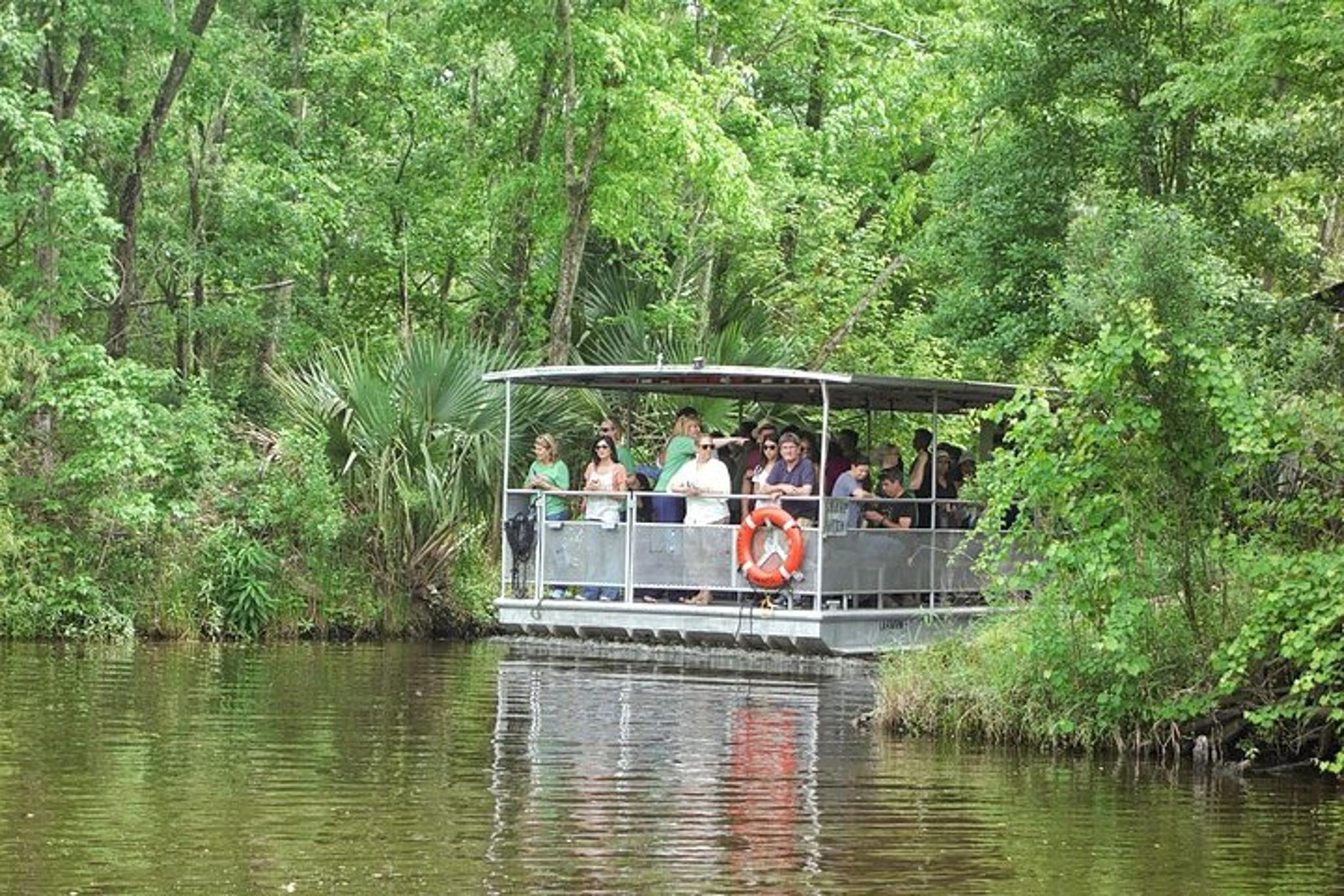 New Orleans Swamp and Bayou Tour 90 Min - Image 2