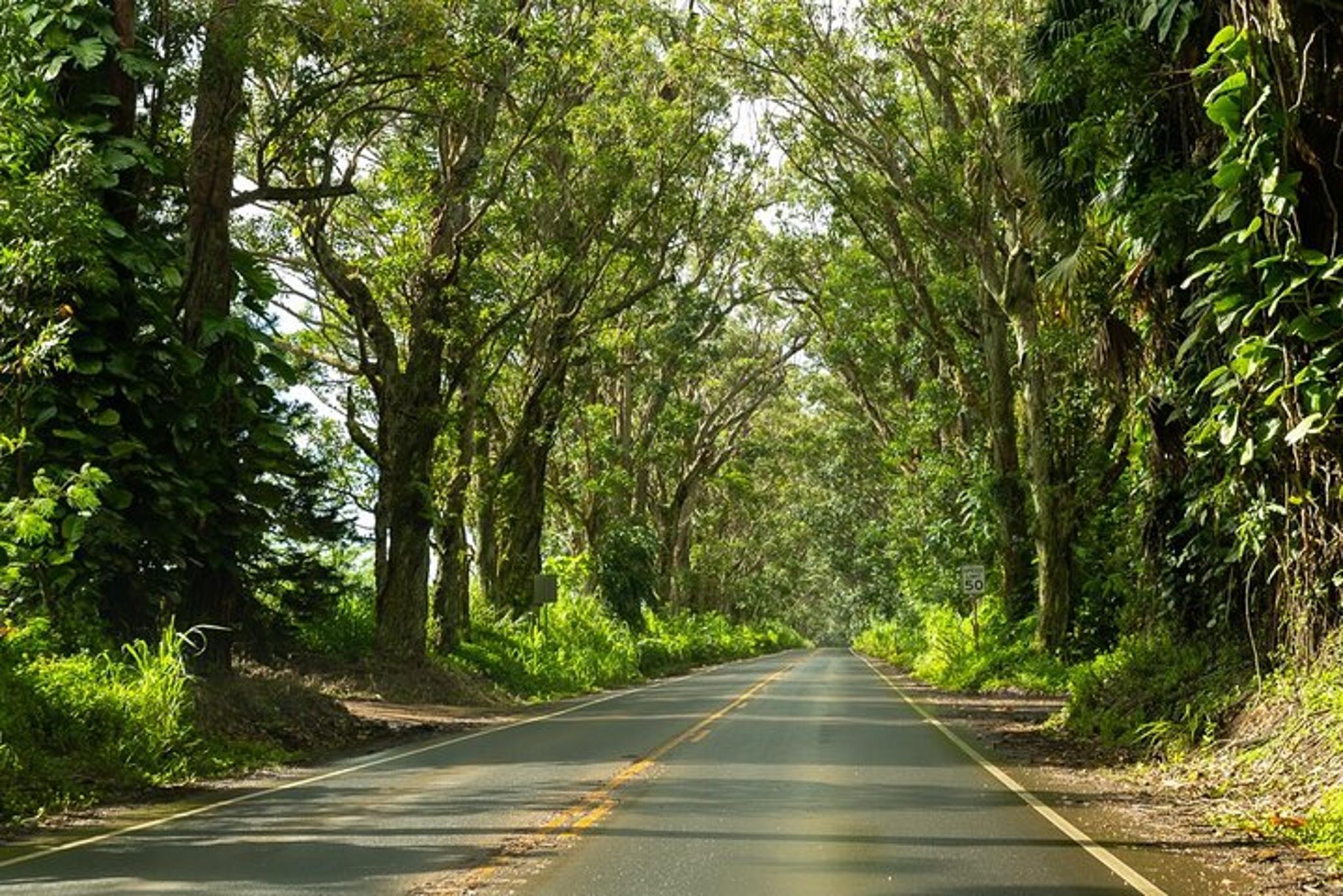 Kauai Highlights Tour Featuring Waimea Canyon - Image 5