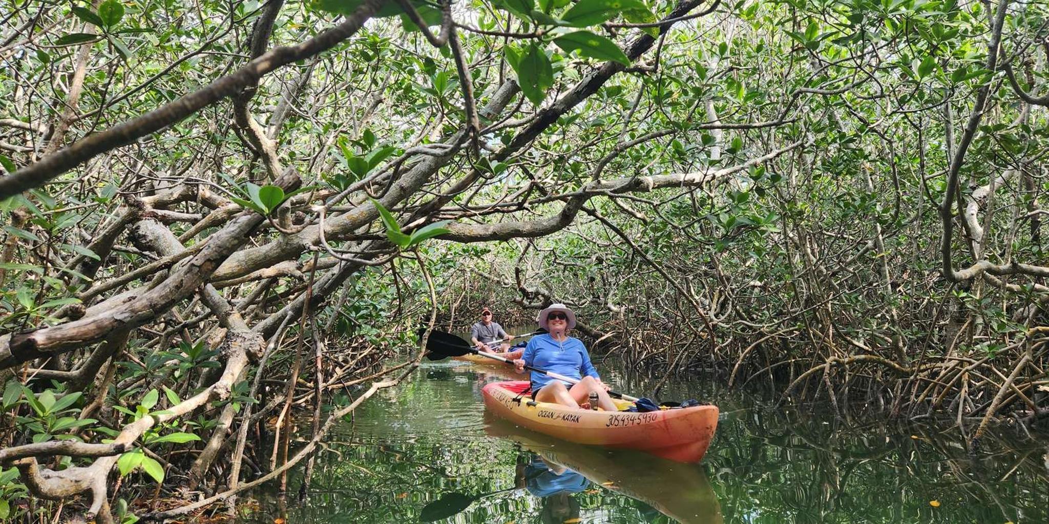 Florida Keys Kayak and Snorkel Adventure - Image 5