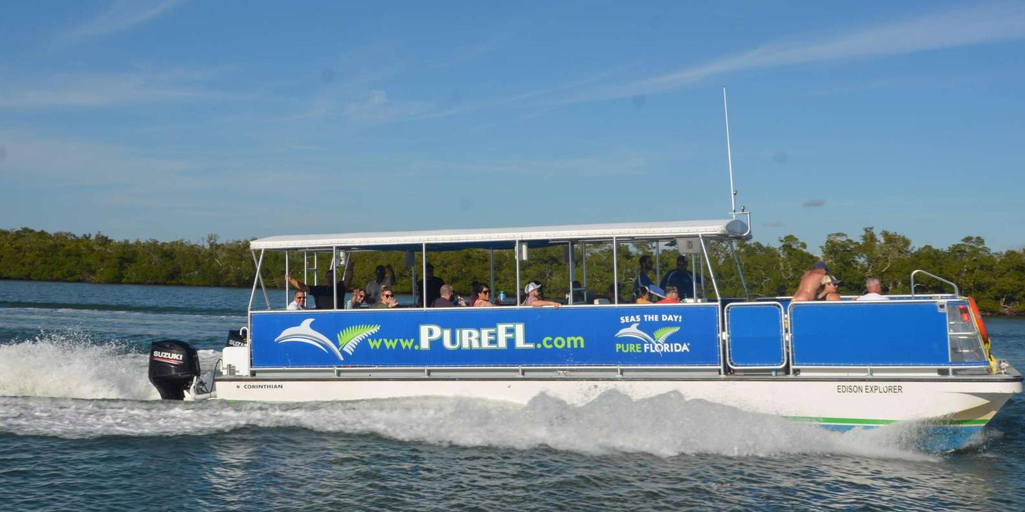 Naples Dolphin Watch and Shelling Cruise - Image 1