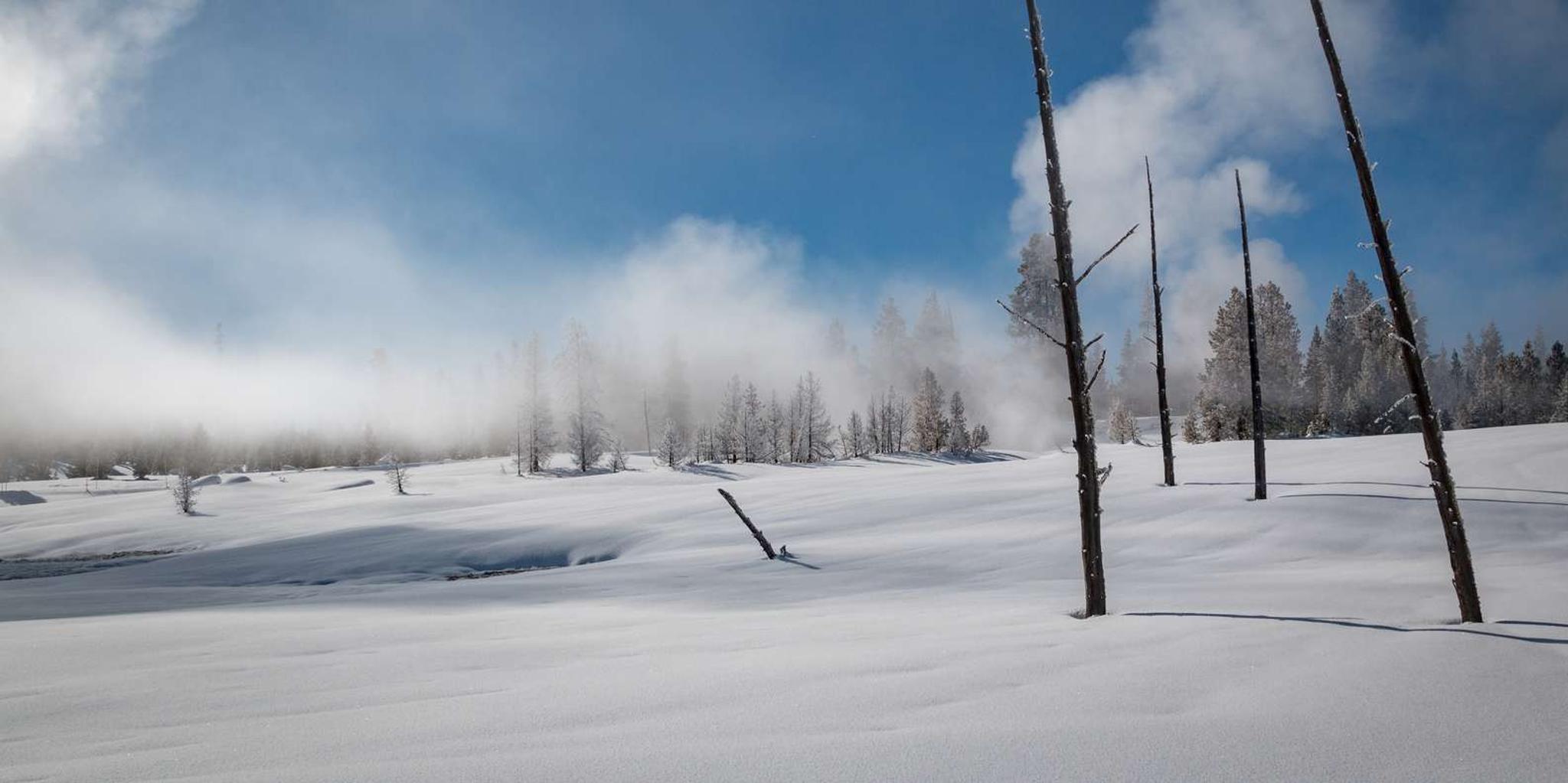 Jackson Yellowstone Snowcoach Tour to Old Faithful - Image 6