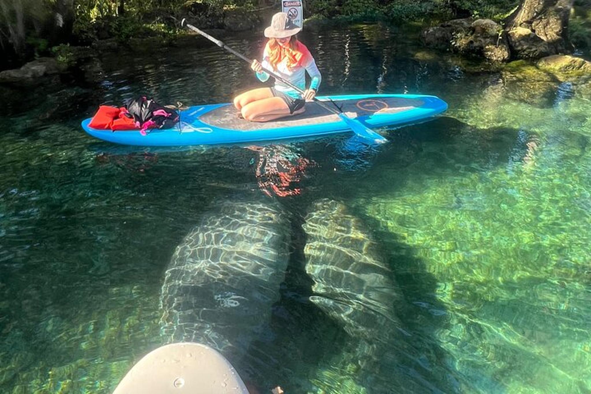 Crystal River Paddle Board Rental 2 Hr - Image 5