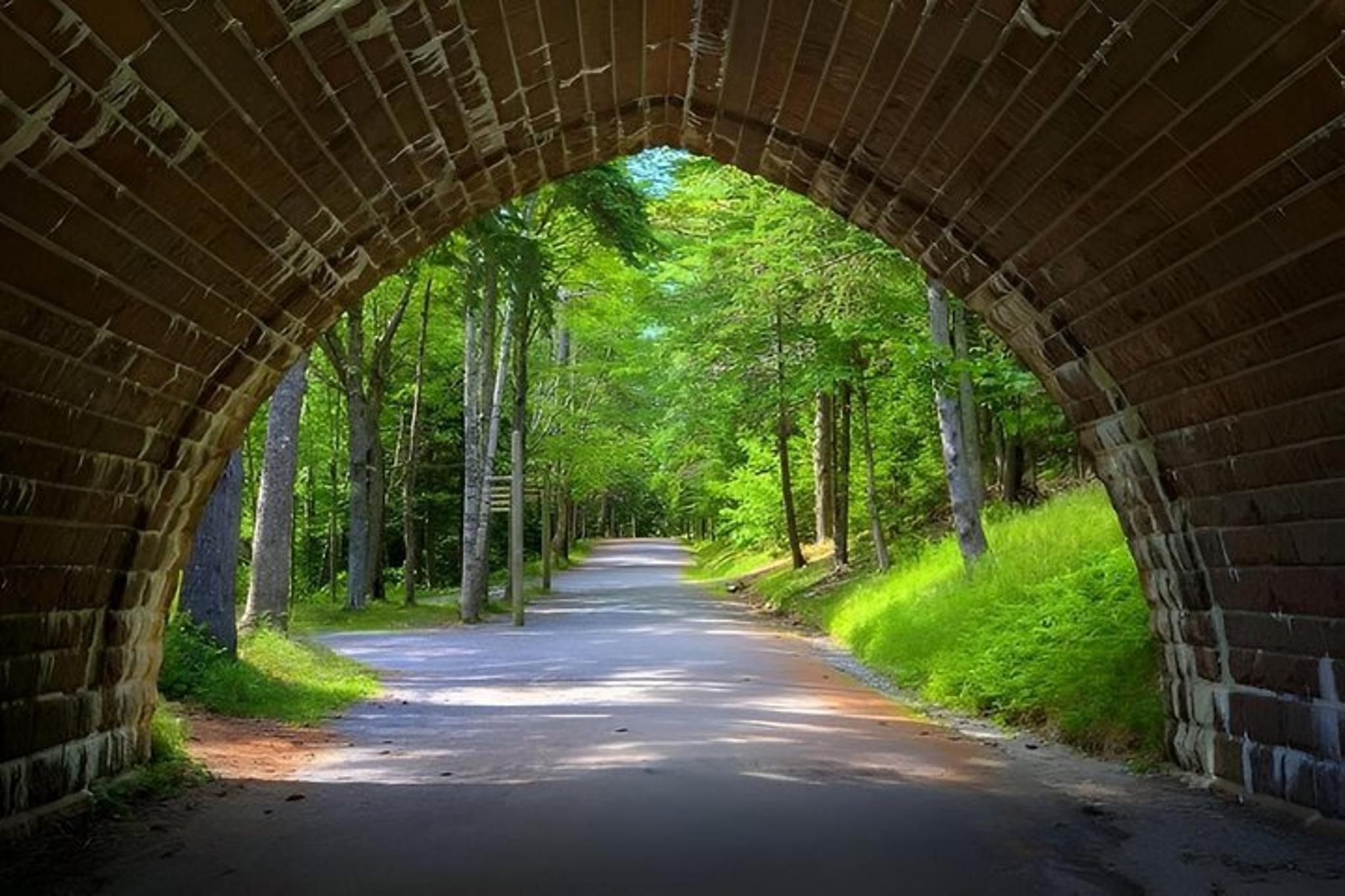 Acadia National Park Tour with Cadillac Summit - 3 Hr - Image 3