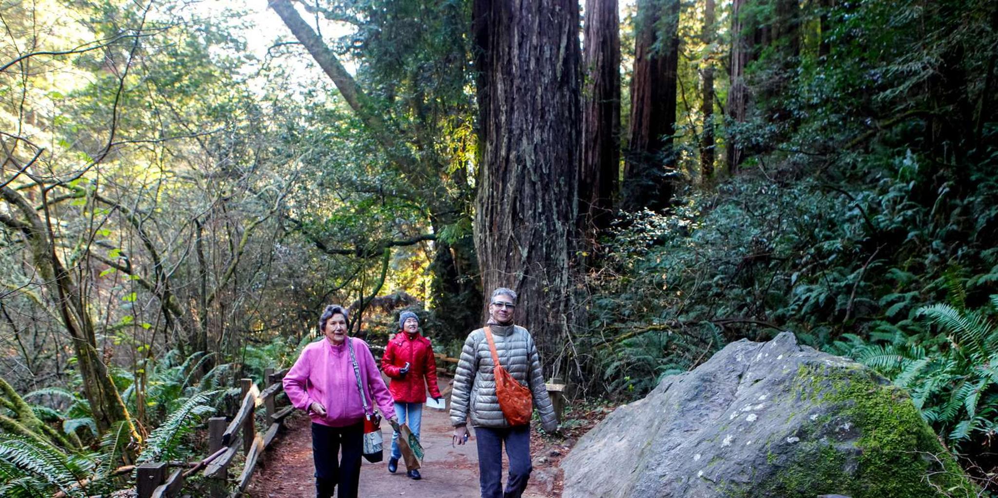 San Francisco Muir Woods and Wine Tour - Image 4