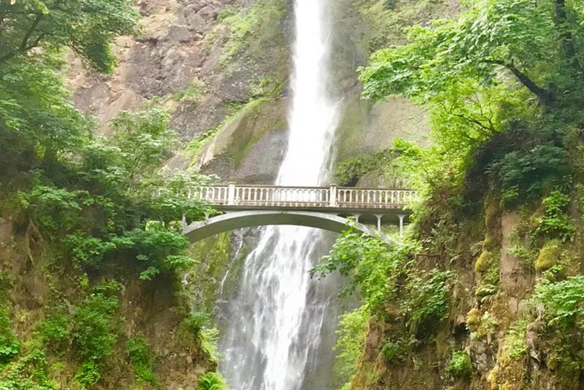 Portland Columbia River Gorge & Waterfalls Tour - Image 2